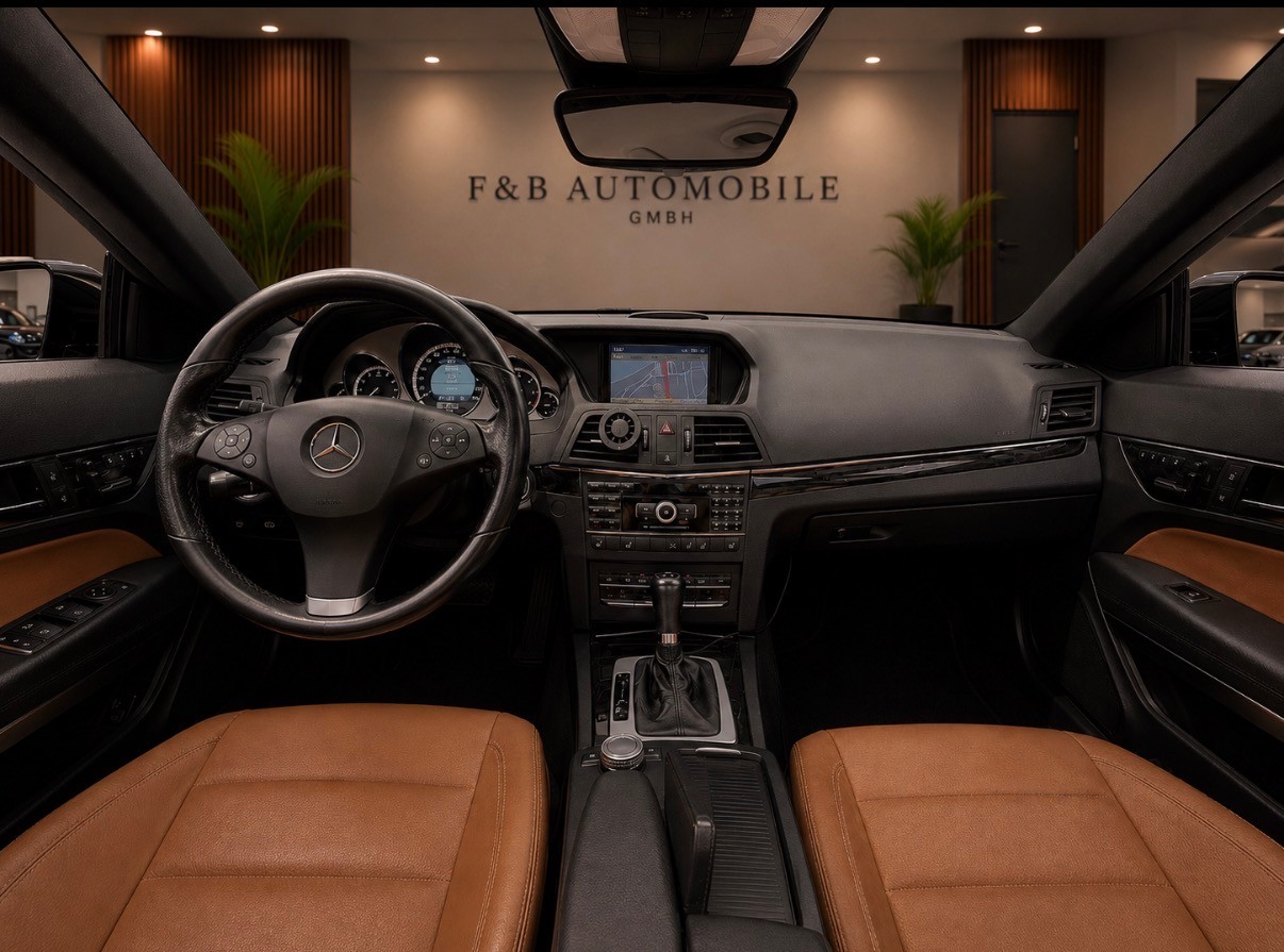 MERCEDES-BENZ E 220 CDI BlueEfficiency Automatic-image-8