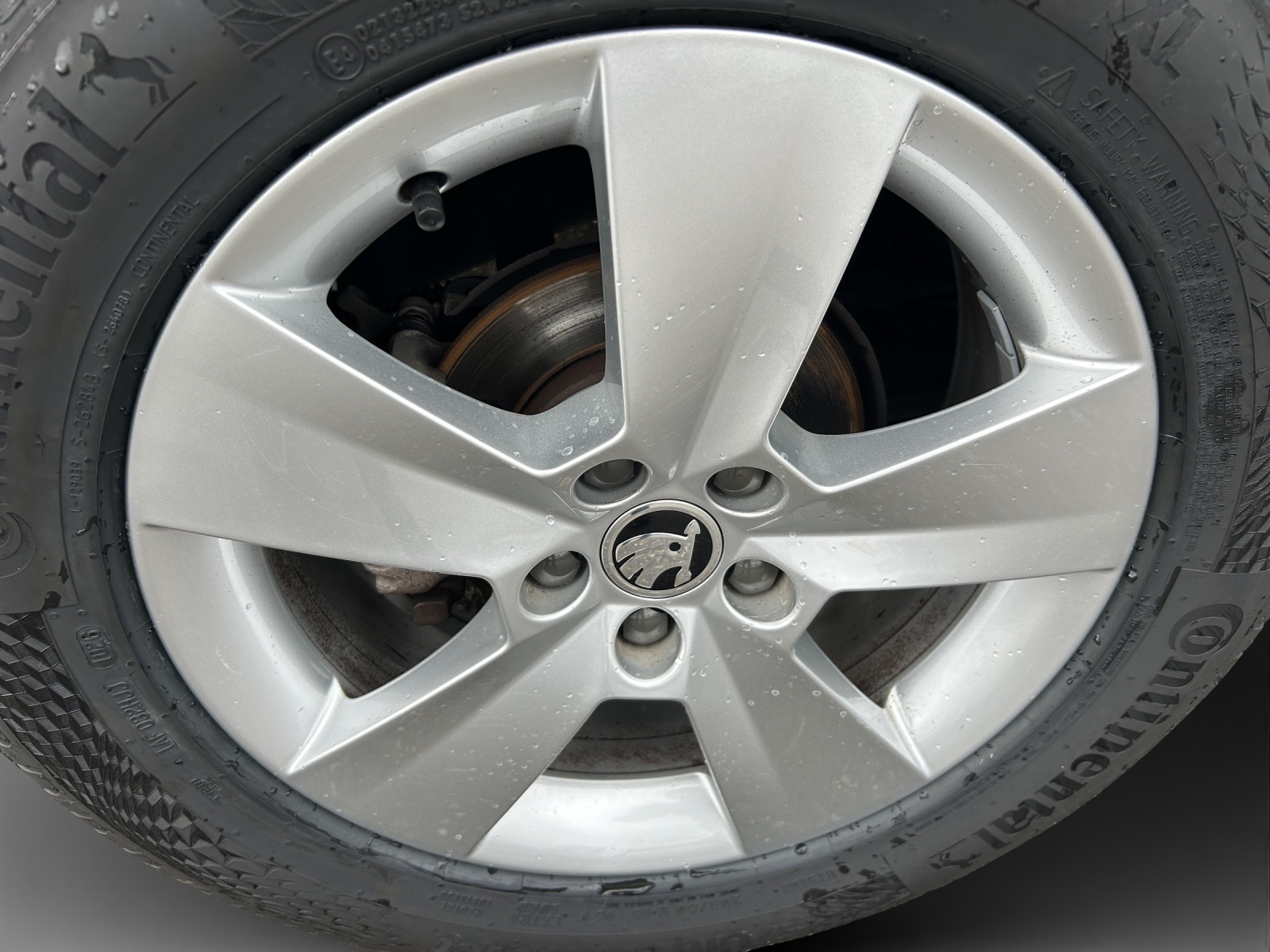 SKODA Kamiq 1.5 TSI ACT Ambition DSG-image-13