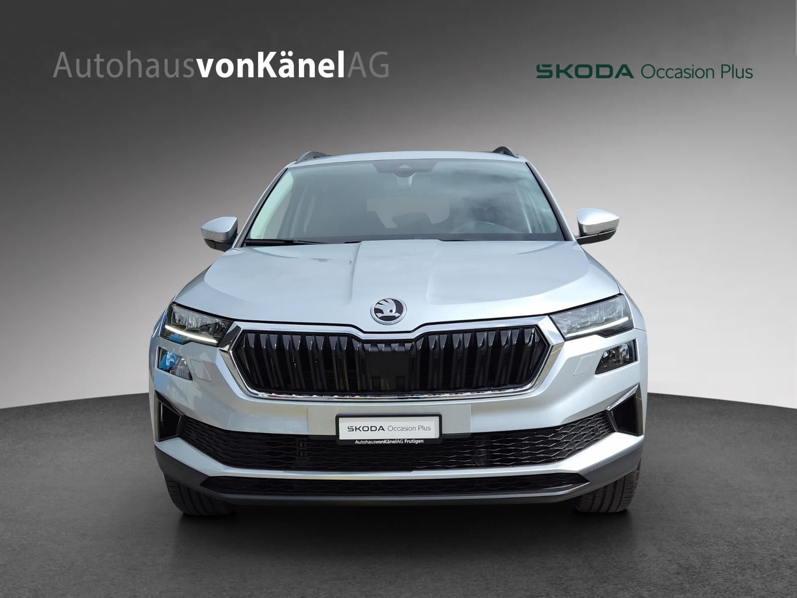 SKODA Karoq 2.0 TDI CR Selection 4x4 DSG-showroom-element-3
