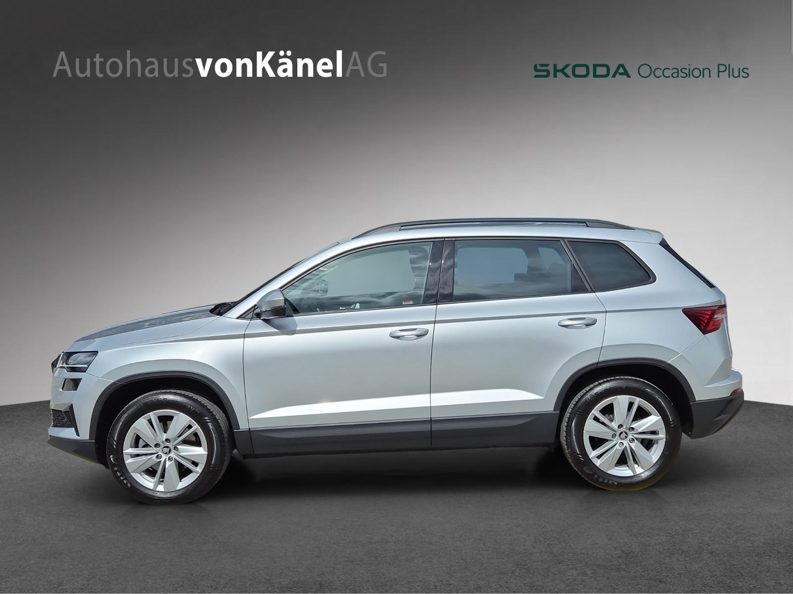 SKODA Karoq 2.0 TDI CR Selection 4x4 DSG-showroom-element-1