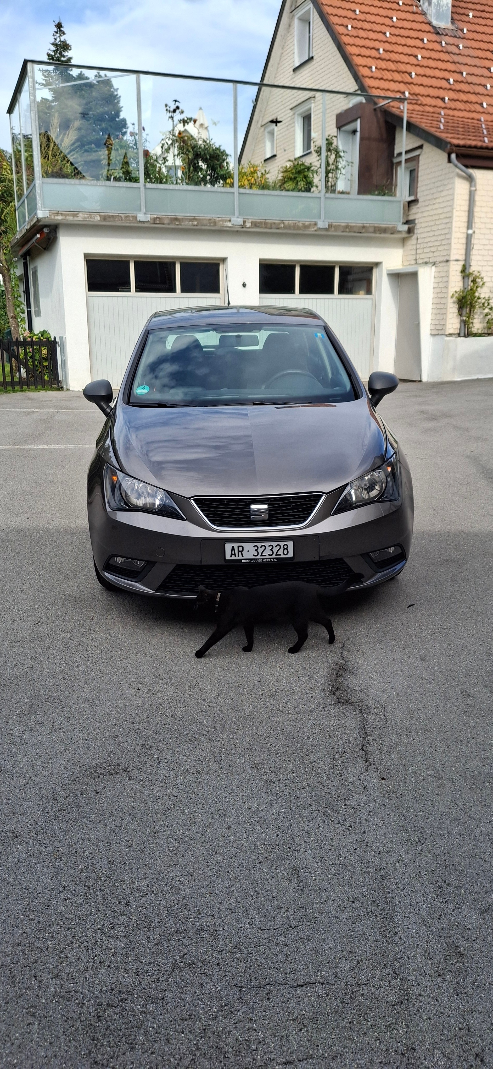 SEAT Limousine-image-0