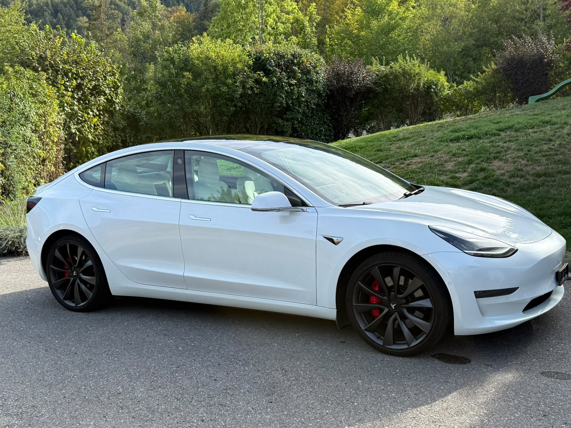 TESLA Model 3 Performance Dual Motor AWD-image-0