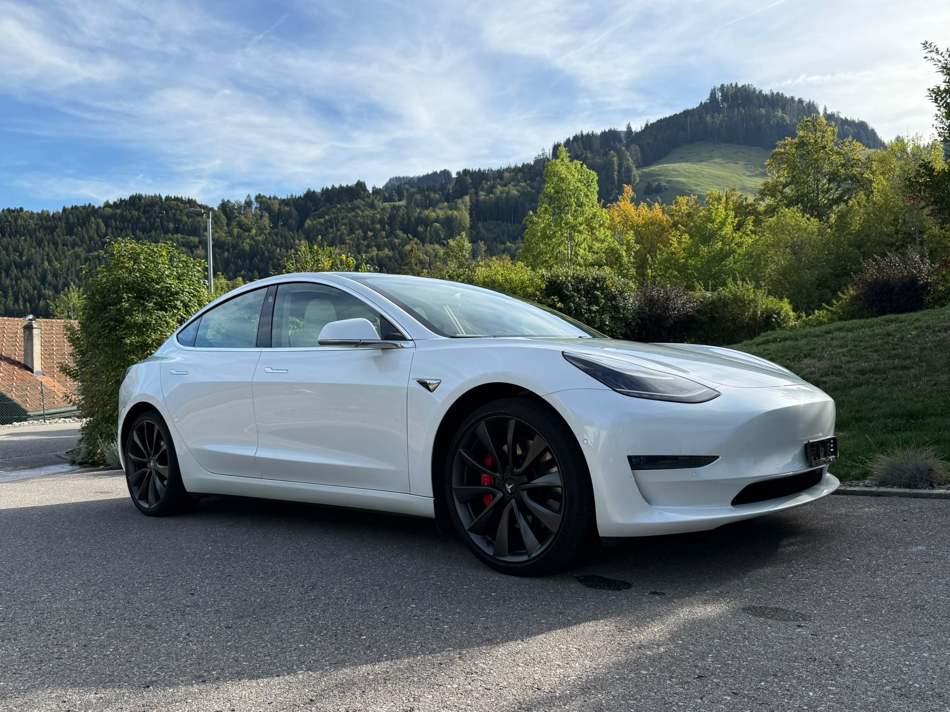 TESLA Model 3 Performance Dual Motor AWD-image-2