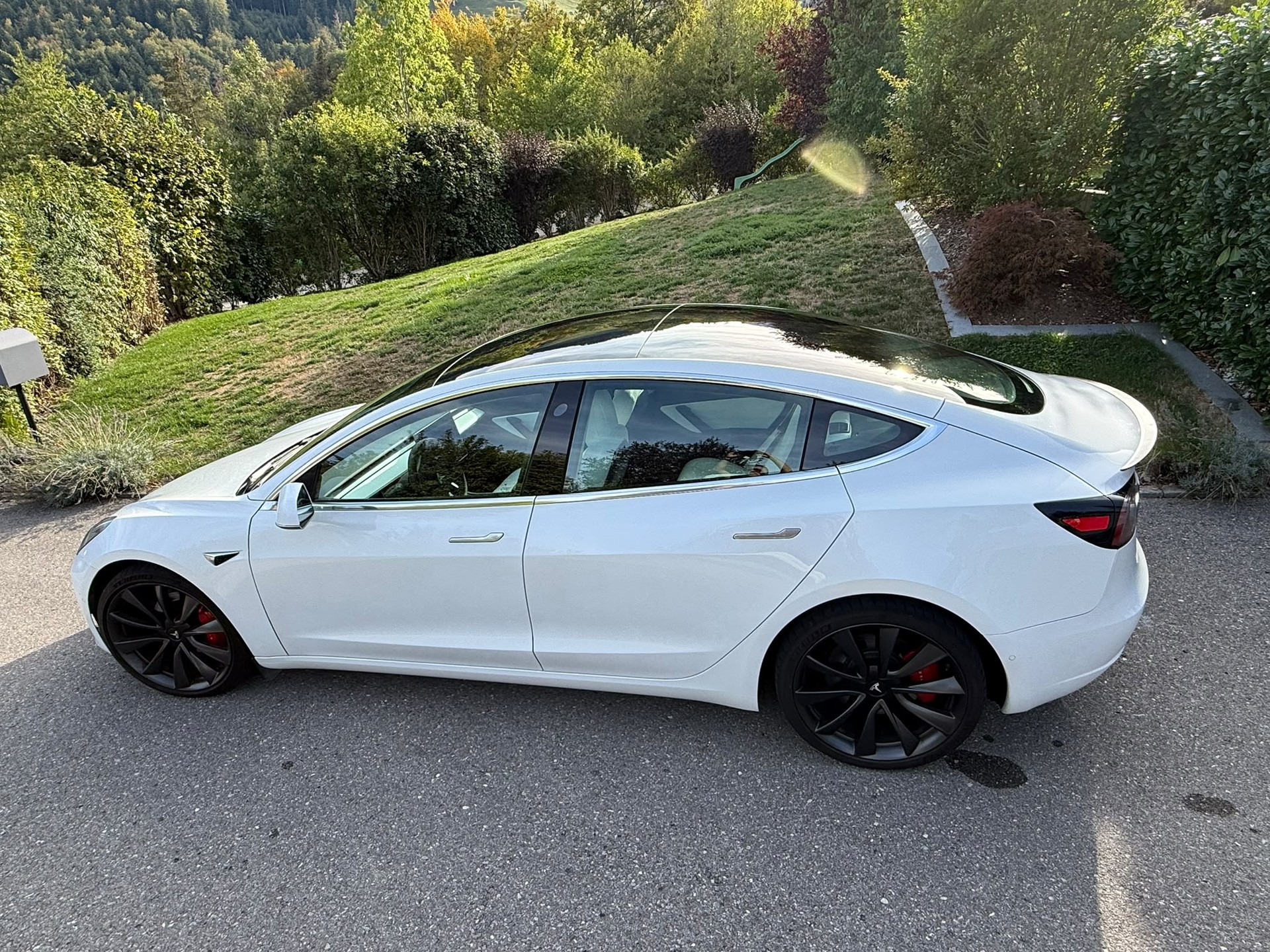 TESLA Model 3 Performance Dual Motor AWD-image-3