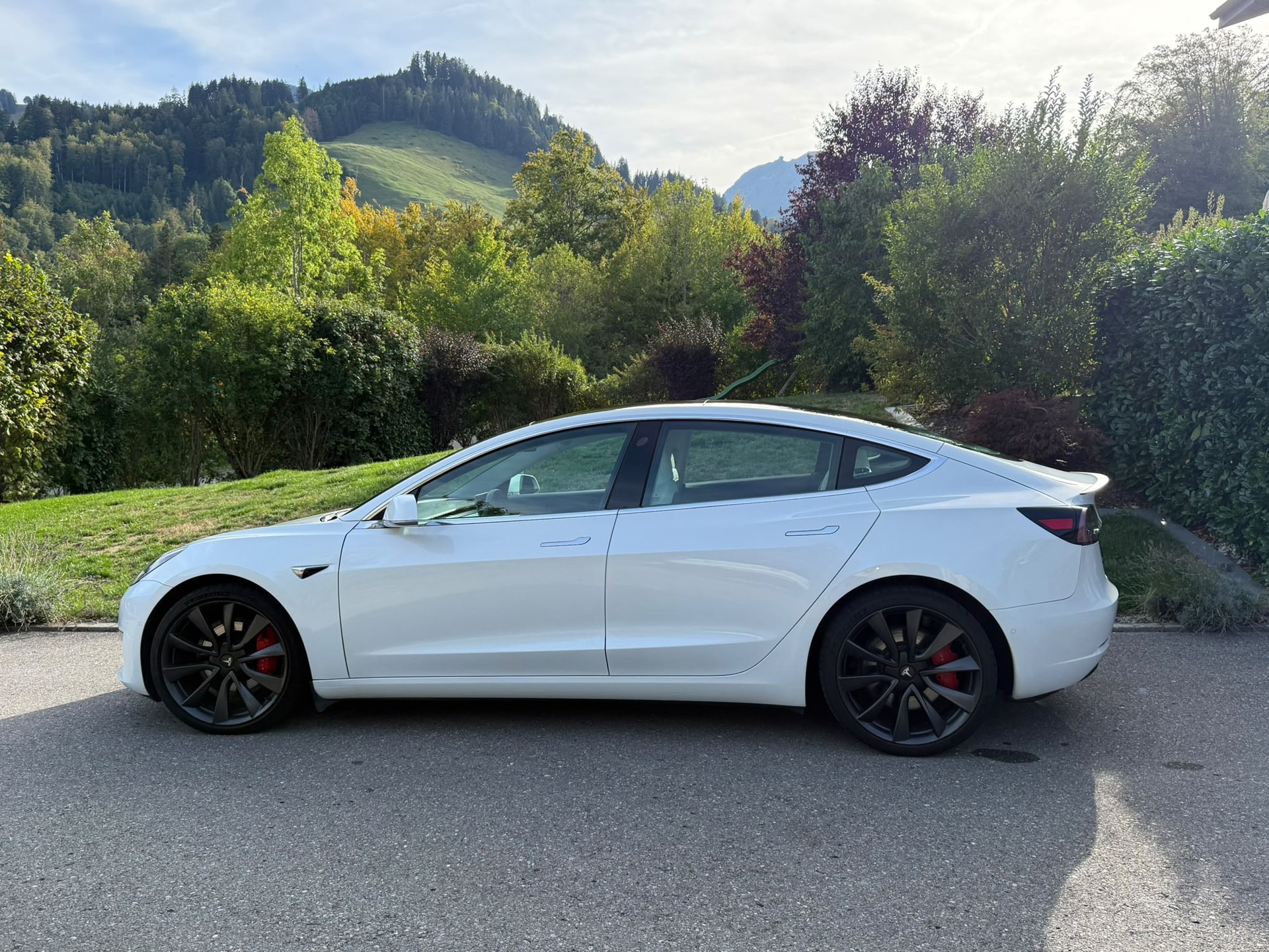 TESLA Model 3 Performance Dual Motor AWD-image-1