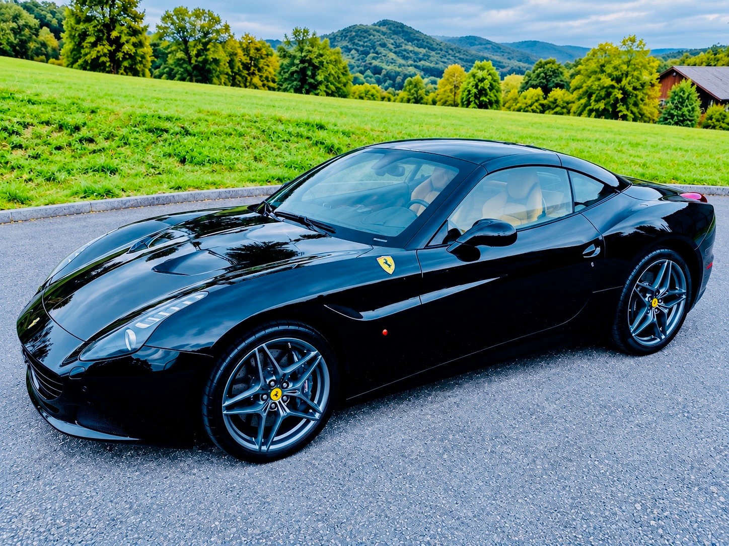 FERRARI 3.9 Turbo-image-12