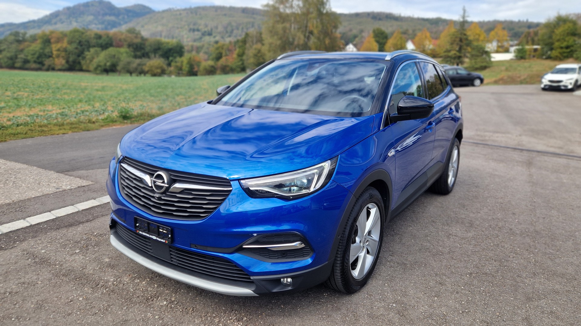 OPEL Grandland X 2.0CDTi Ultimate Automatik-image-1