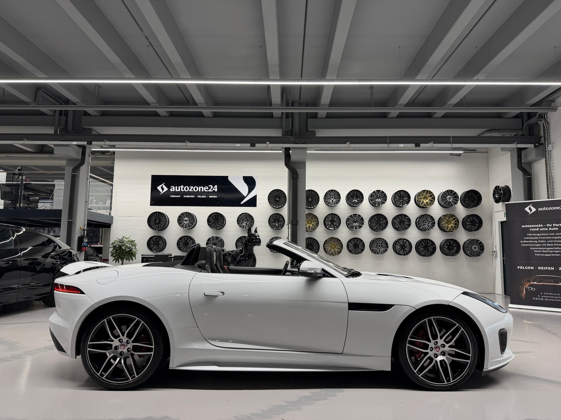 JAGUAR F-Type Convertible 2.0 Chequered Flag-showroom-element-2