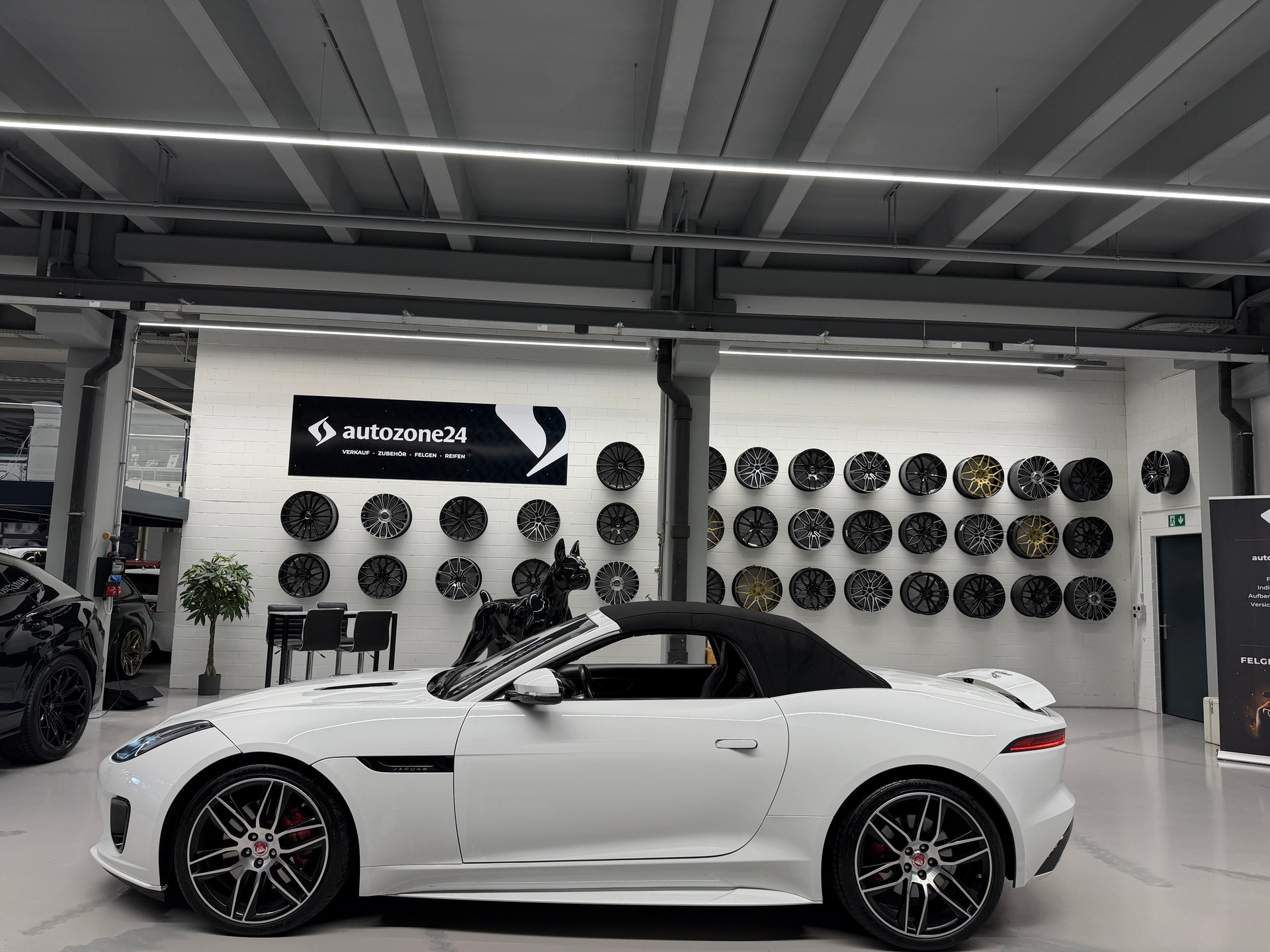JAGUAR F-Type Convertible 2.0 Chequered Flag-image-6