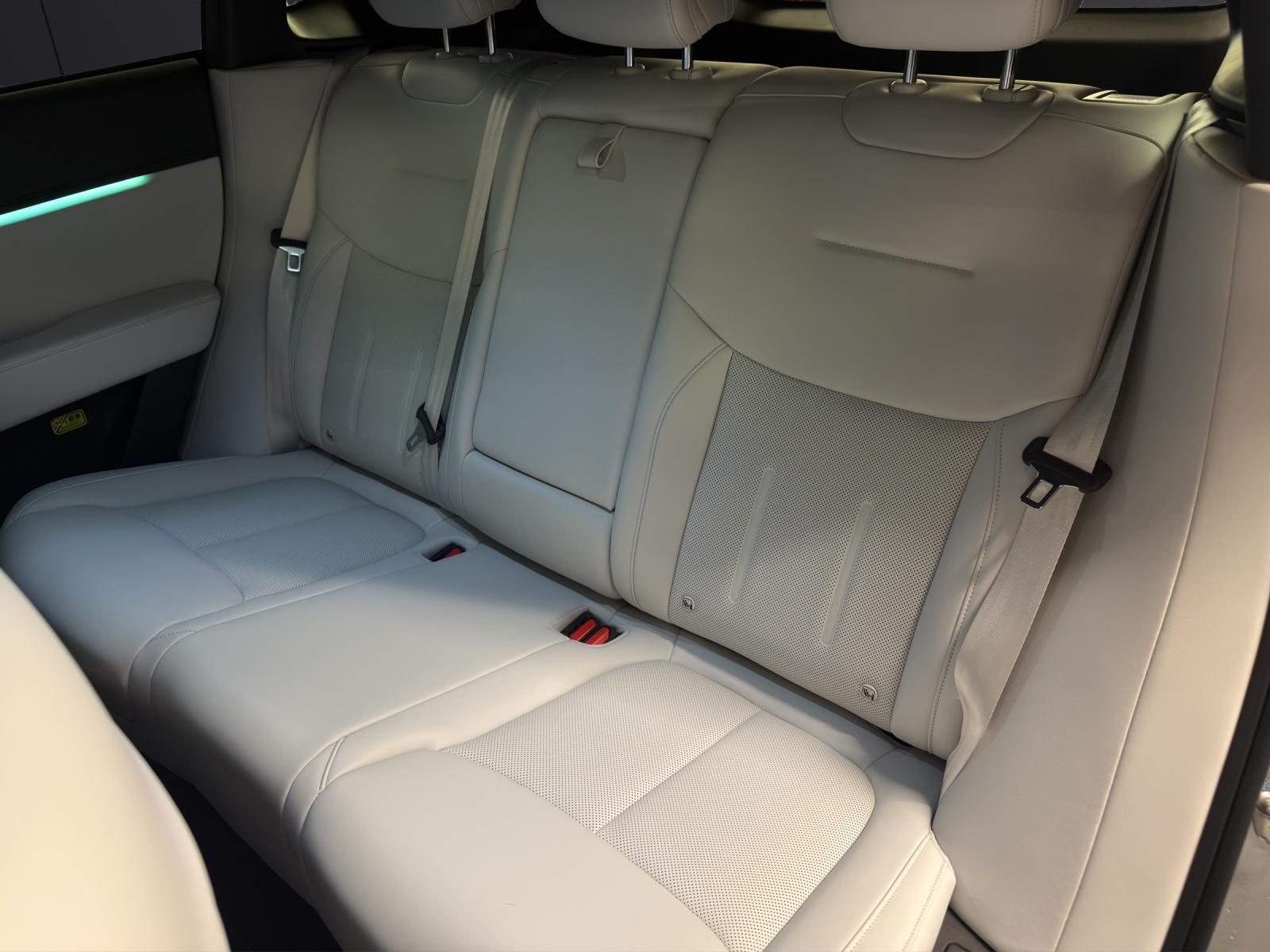XPENG G6 Performance AWD-image-12