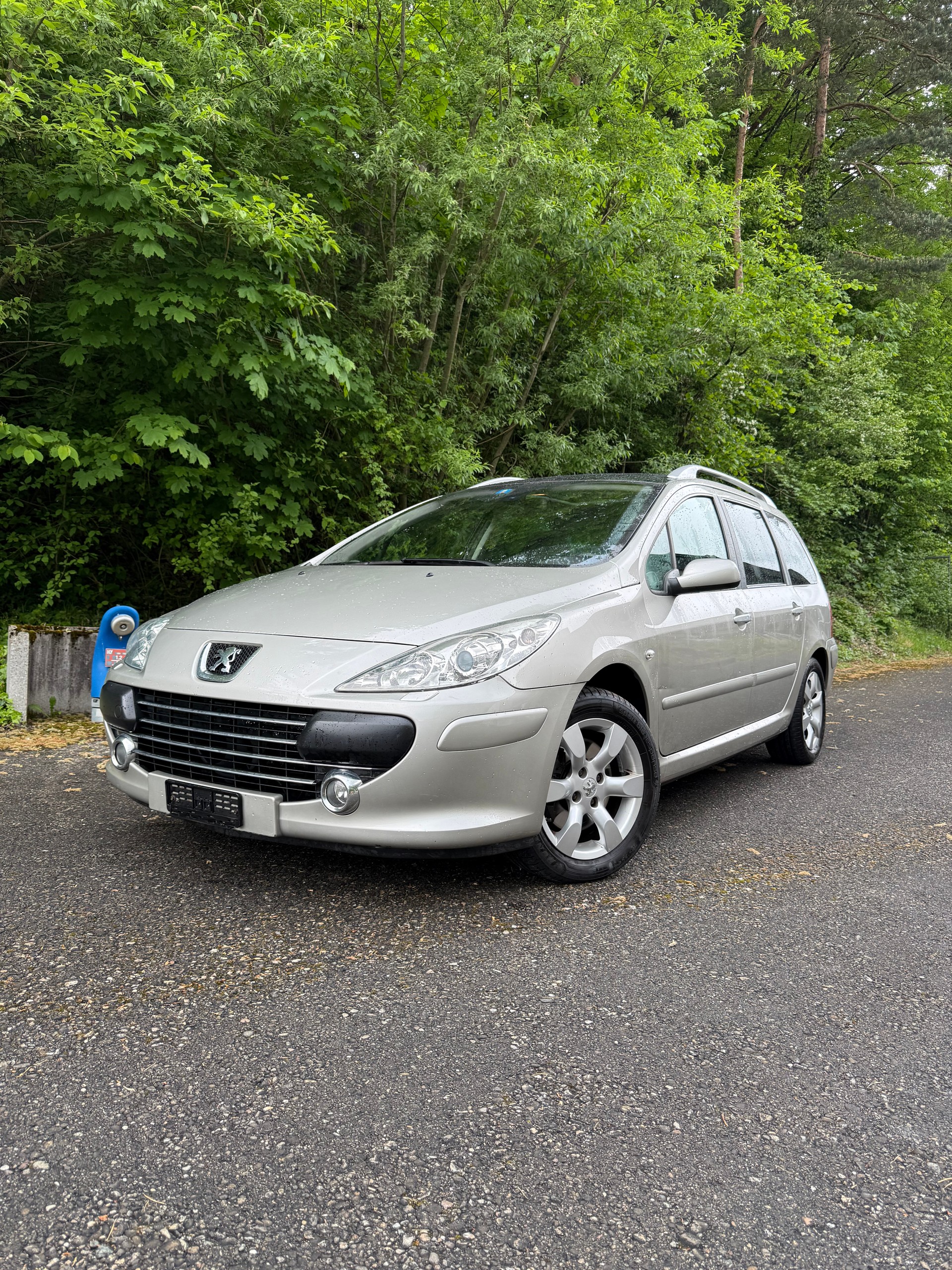 PEUGEOT 307 SW 2.0 HDI Platinum Edition