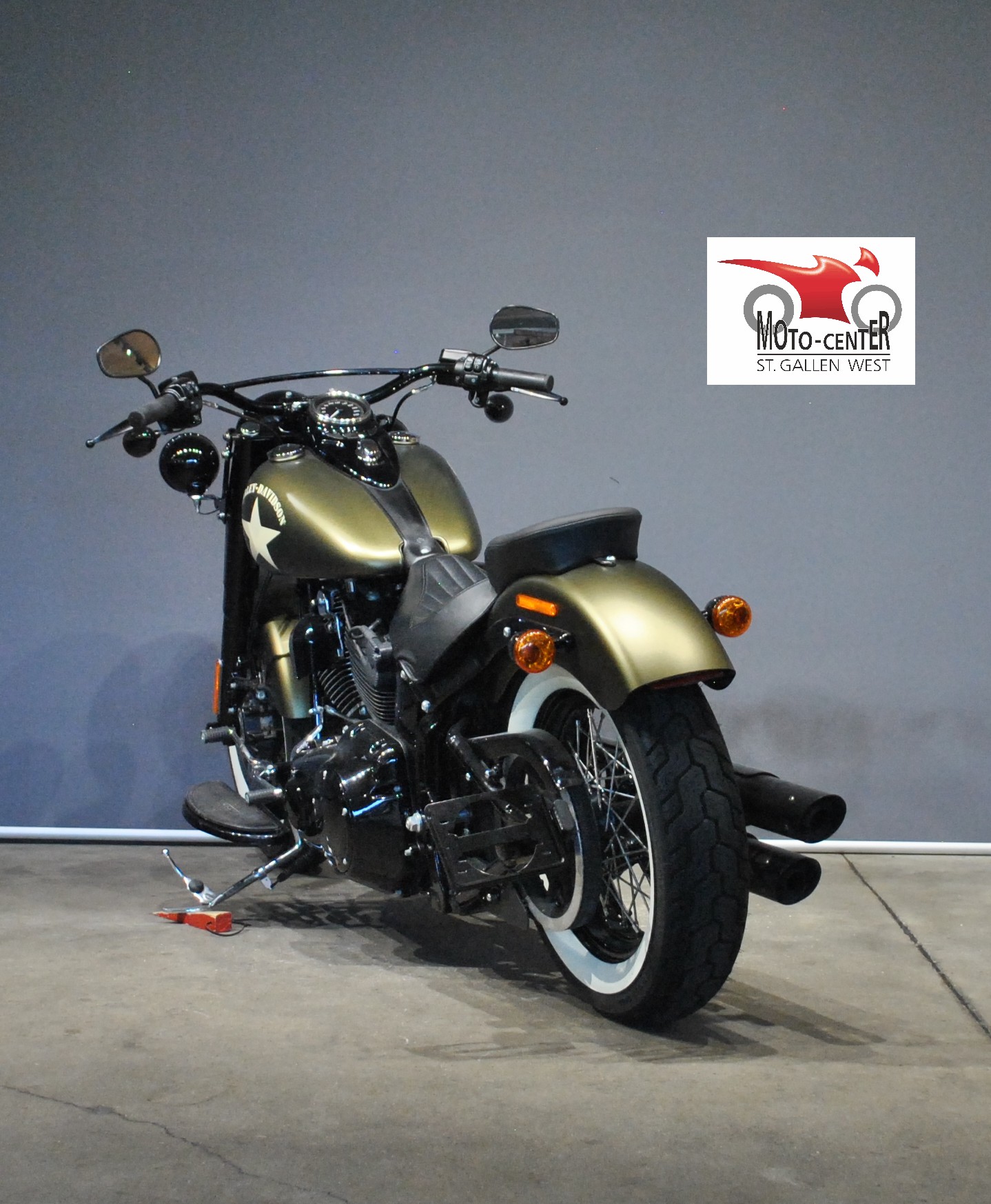 HARLEY-DAVIDSON FLSS Softail Slim S110 ABS-showroom-element-3
