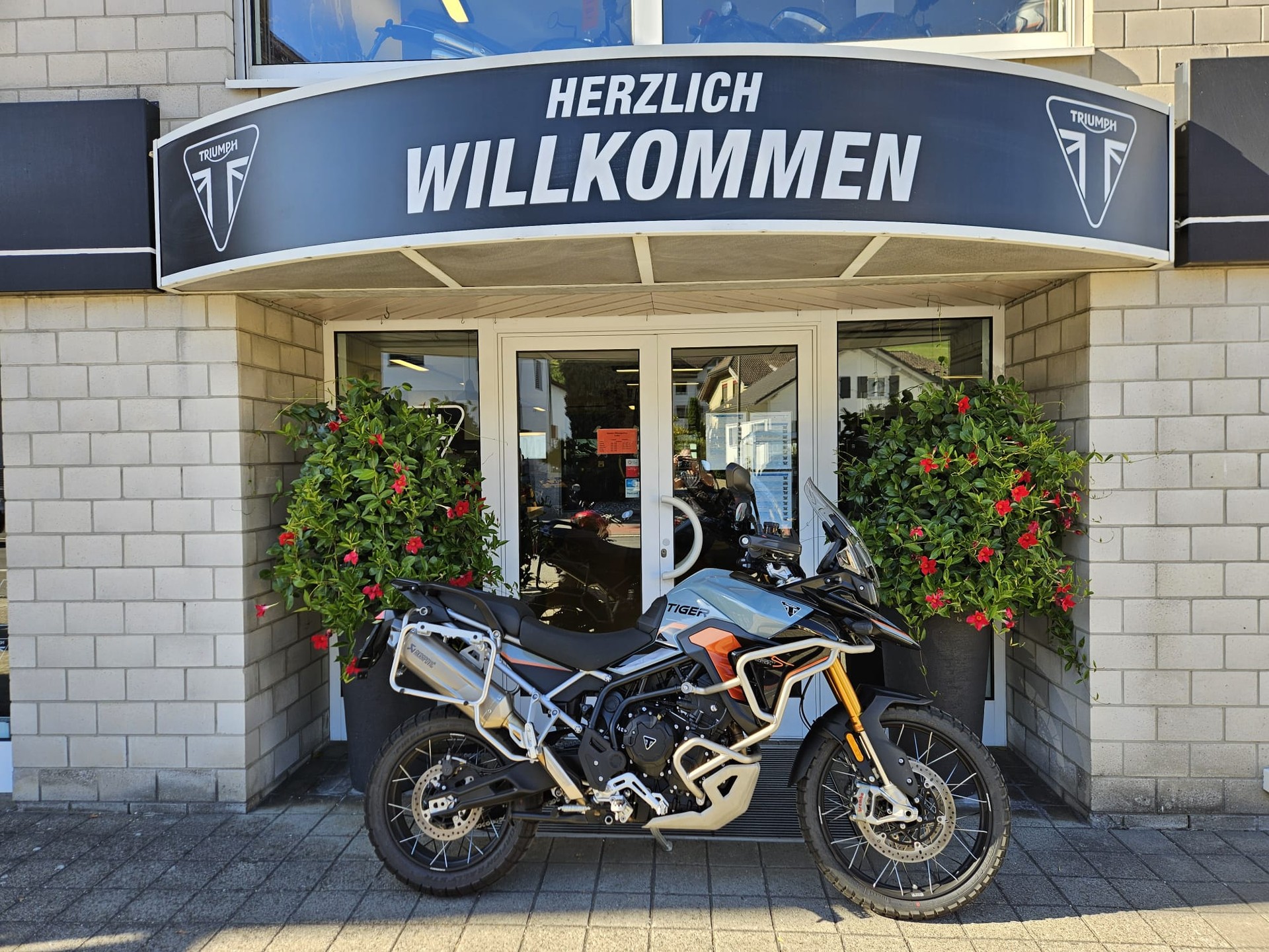TRIUMPH Tiger 900 Desert Edition