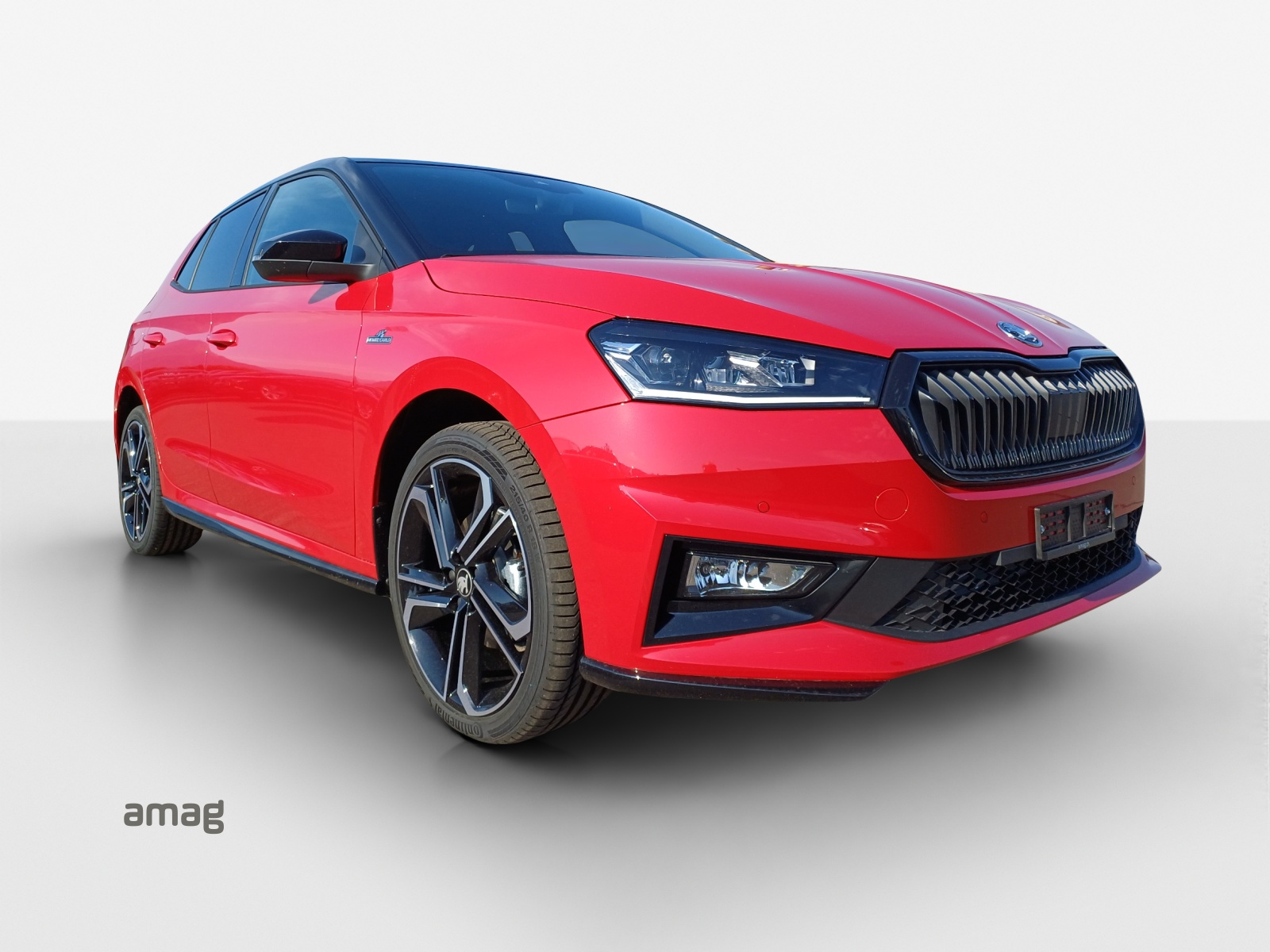 SKODA Fabia 1.0 TSI Monte Carlo DSG-image-5