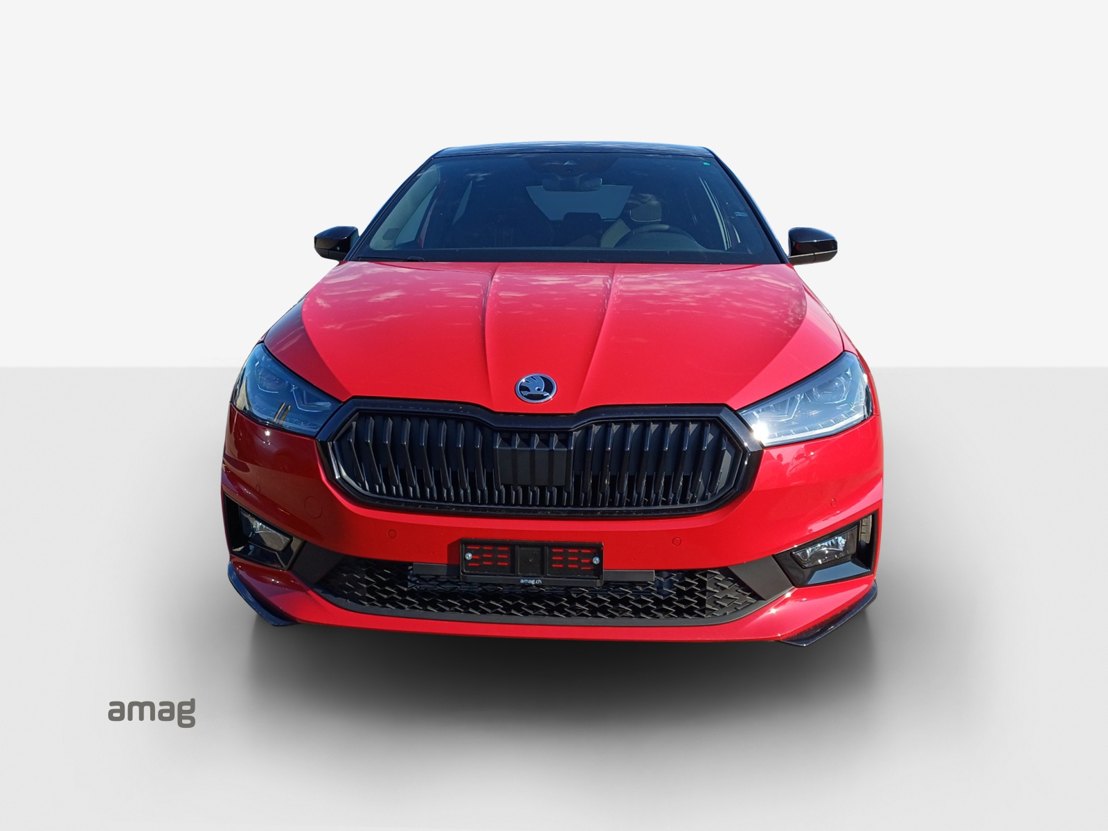 SKODA Fabia 1.0 TSI Monte Carlo DSG-image-6