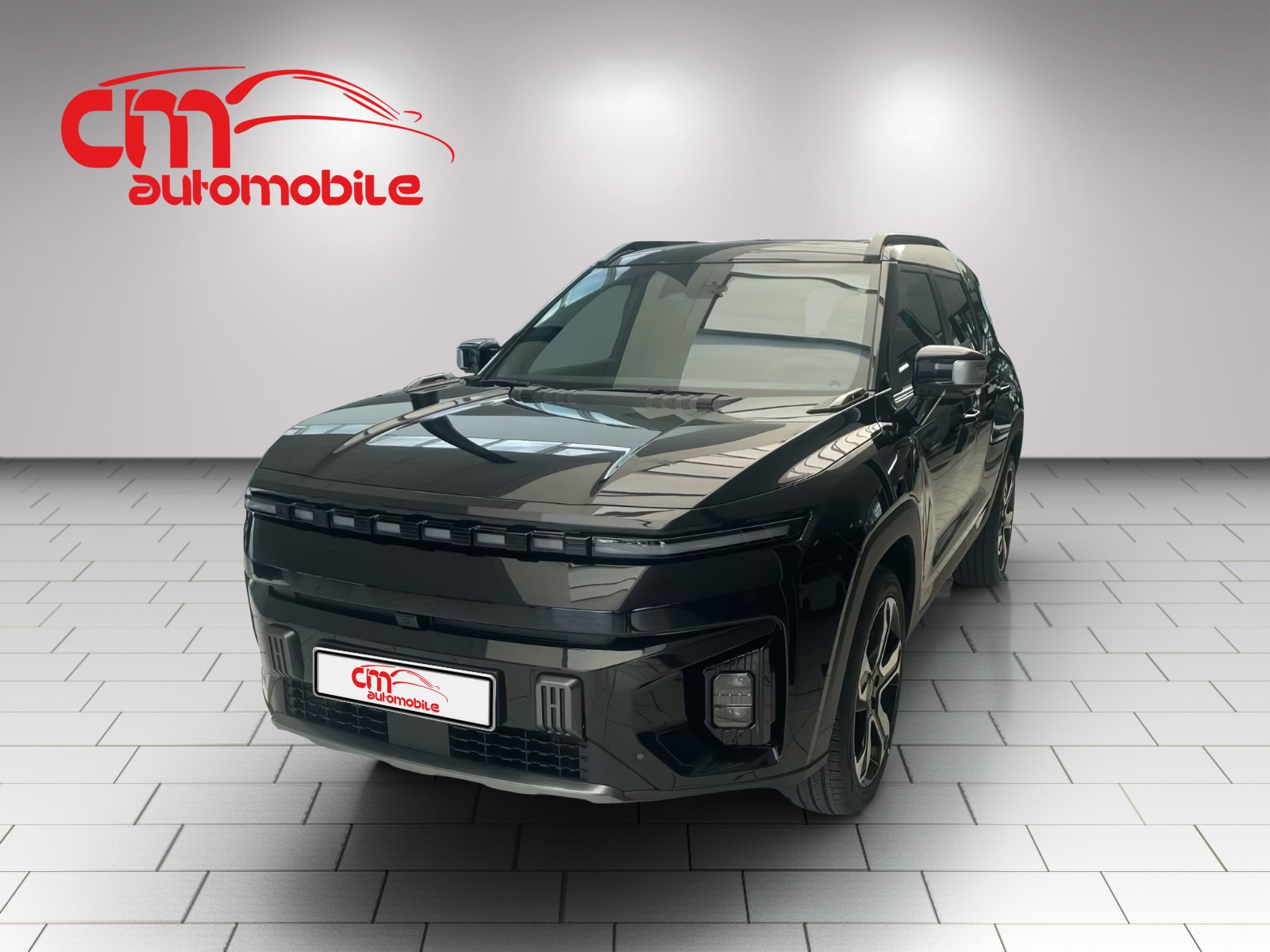 KGM-SsangYong Torres EVX 80 kWh LUX / Platium-image-0