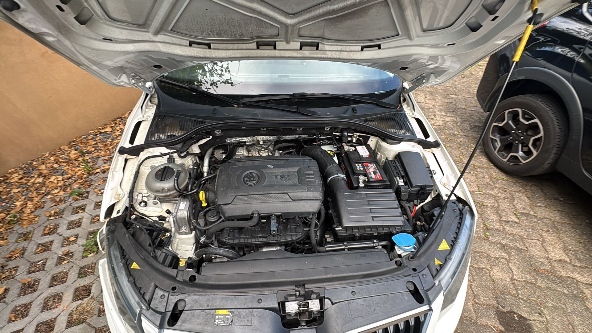 SKODA SCOUT 1.8 TSI 180 4x4 DSG-image-3