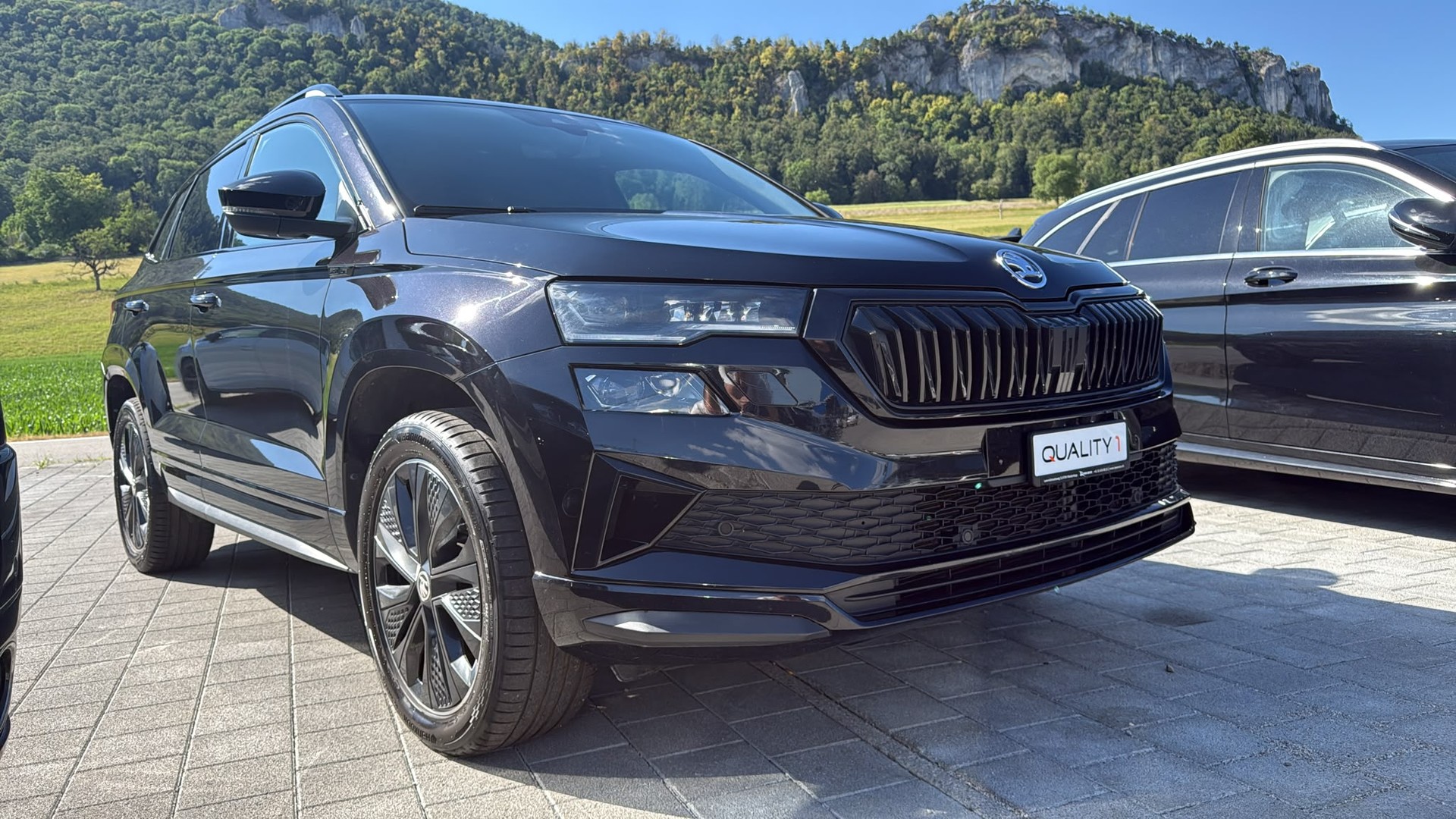 SKODA Karoq 2.0 TSI SportLine 4x4 DSG-image-9