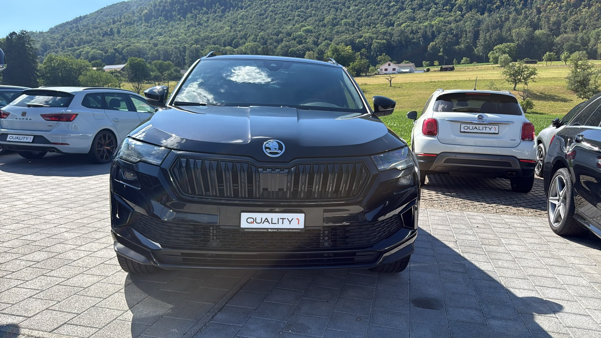 SKODA Karoq 2.0 TSI SportLine 4x4 DSG-image-4
