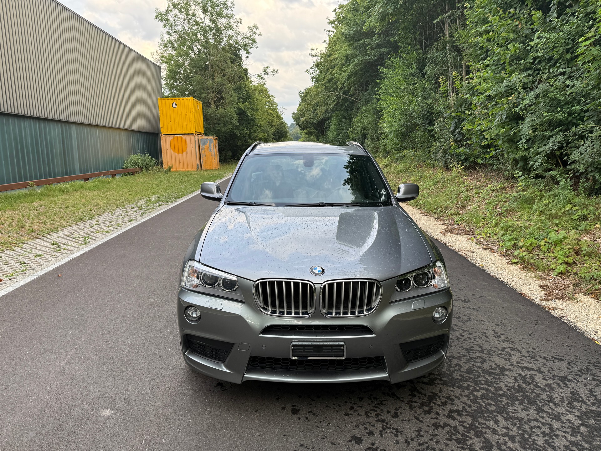 BMW X3 xDrive 30d Steptronic-showroom-element-1