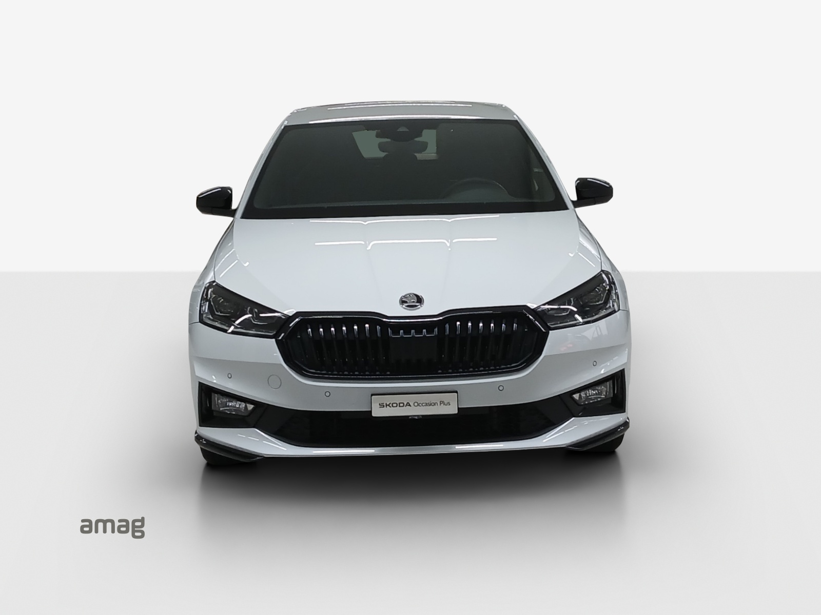 SKODA Fabia 1.5 TSI Monte Carlo DSG-image-6