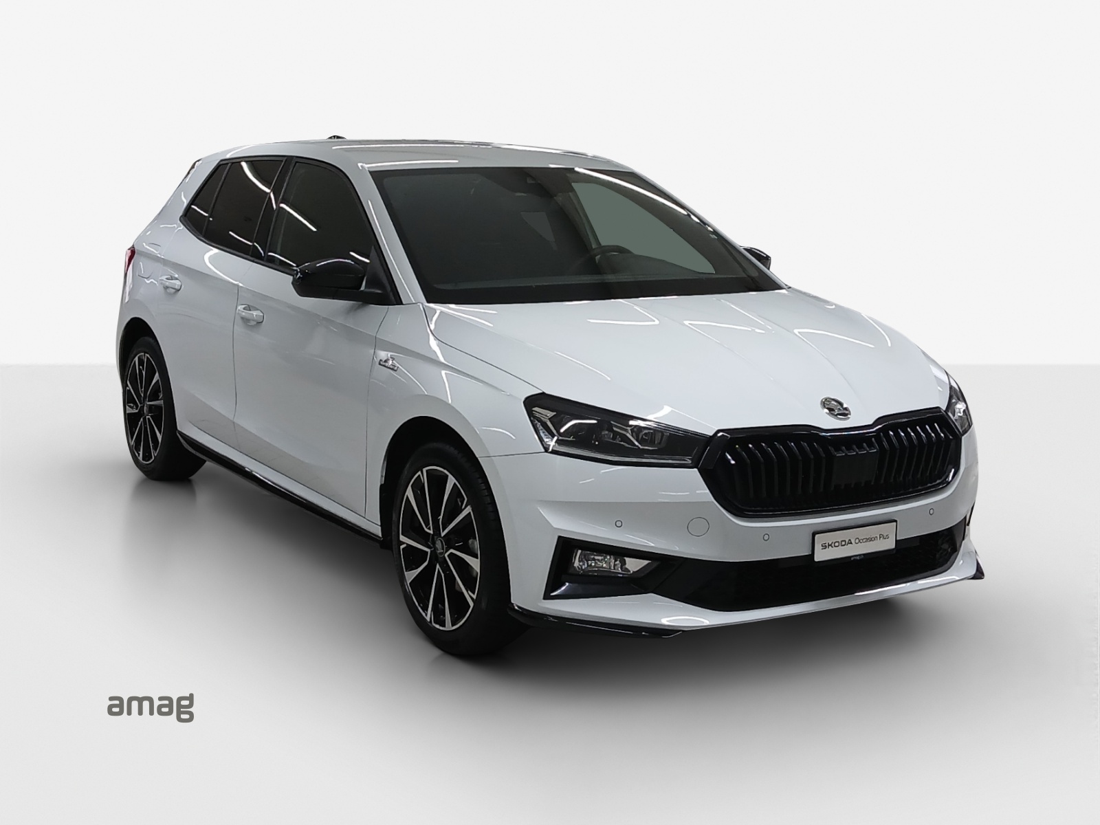 SKODA Fabia 1.5 TSI Monte Carlo DSG-image-5