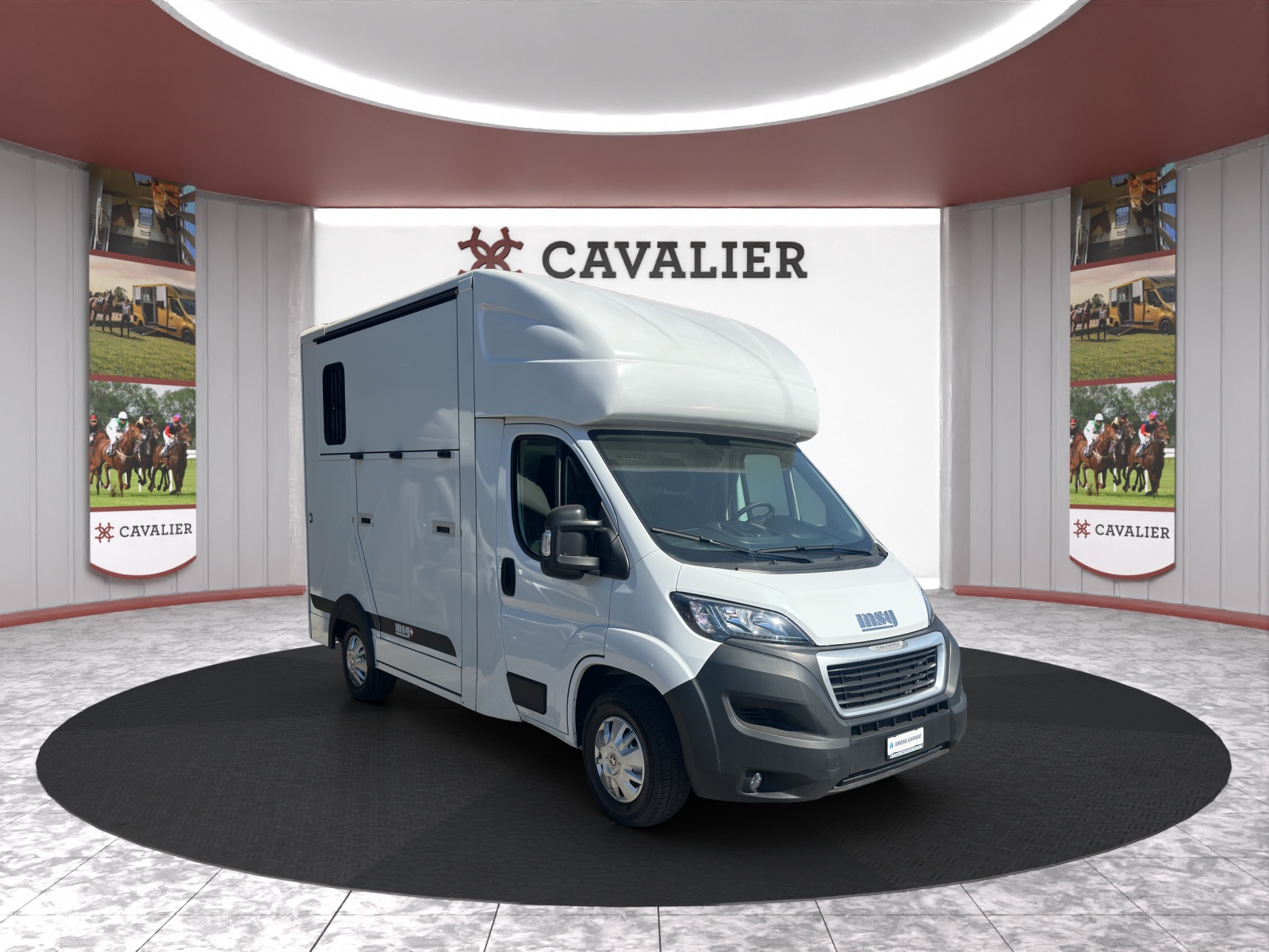 PEUGEOT Pferdetransport MSG Superlight Plus
