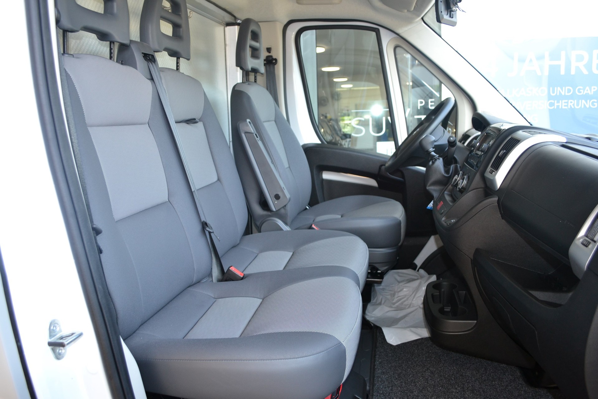 PEUGEOT Pferdetransport MSG Superlight Plus-image-6