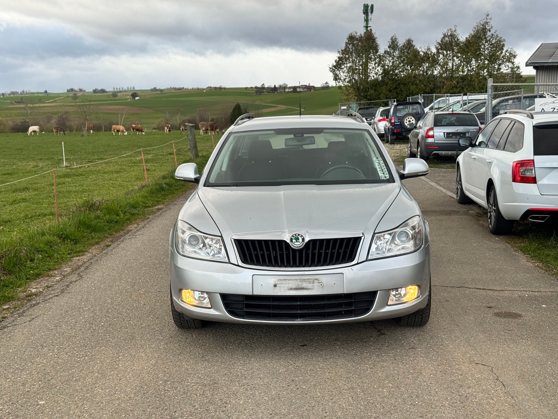 SKODA Octavia Combi 1.6 TDI Swiss Adventure 4x4-image-2