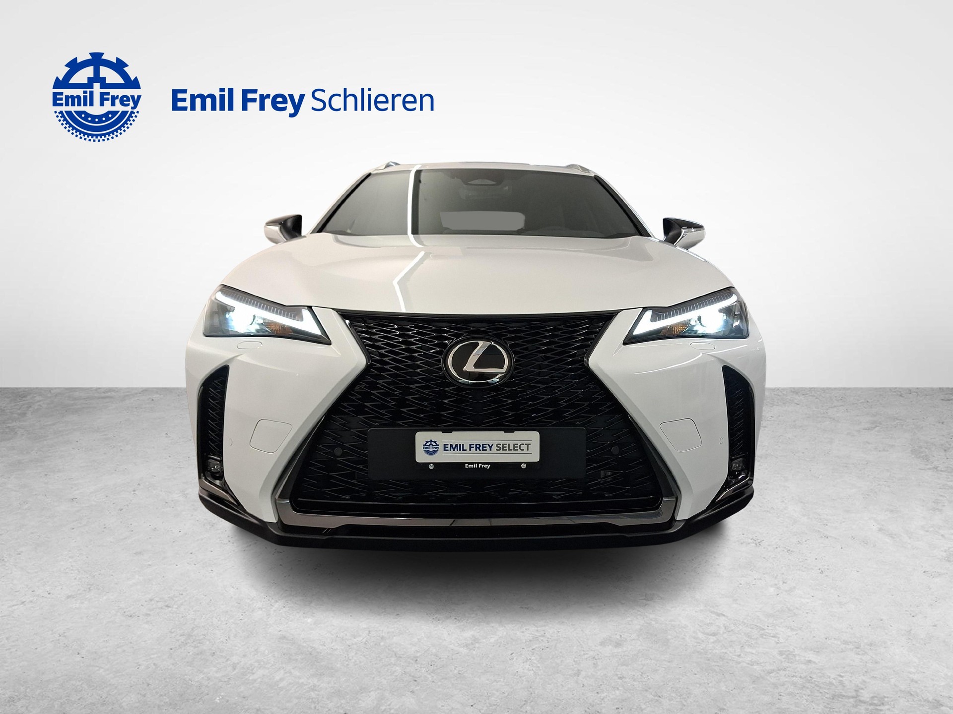 LEXUS UX 300h F-Line-image-8