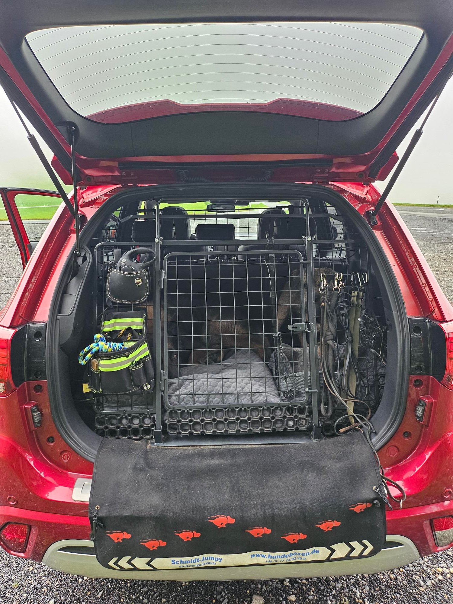 MITSUBISHI 2.4 PHEV Diamond-image-3