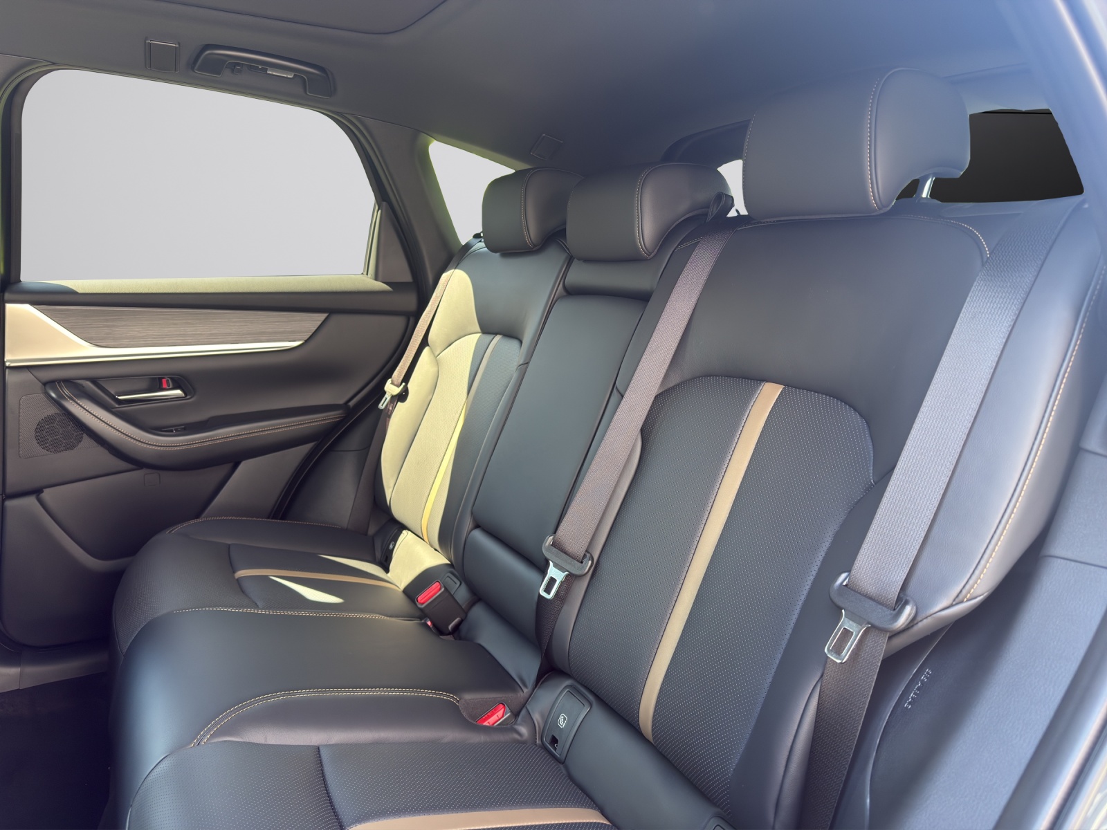 MAZDA CX-60 3.3L e-Skyactiv D 254 MHEV AWD Homura Plus-image-8