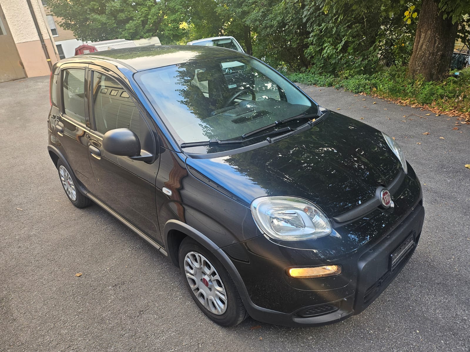 FIAT Panda 1.0 MHEV Cult hagelschaden degats de grele-image-4