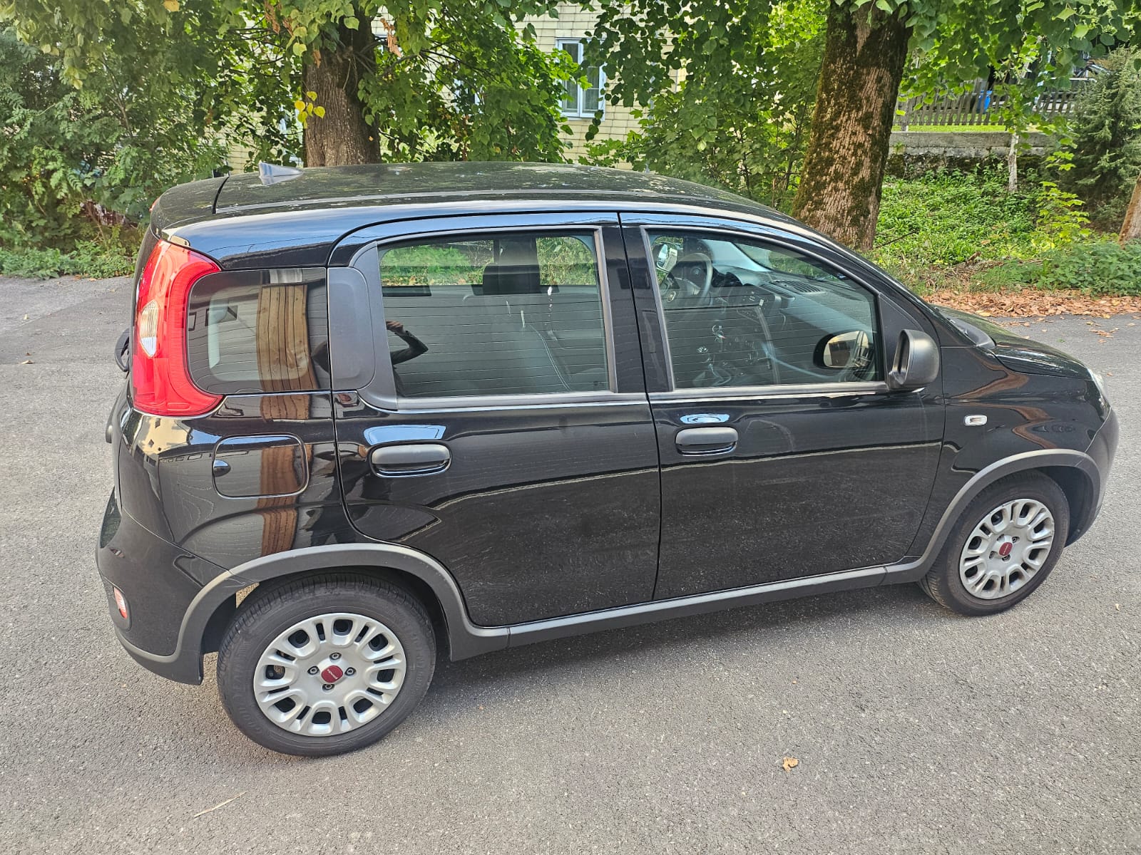 FIAT Panda 1.0 MHEV Cult hagelschaden degats de grele-image-10