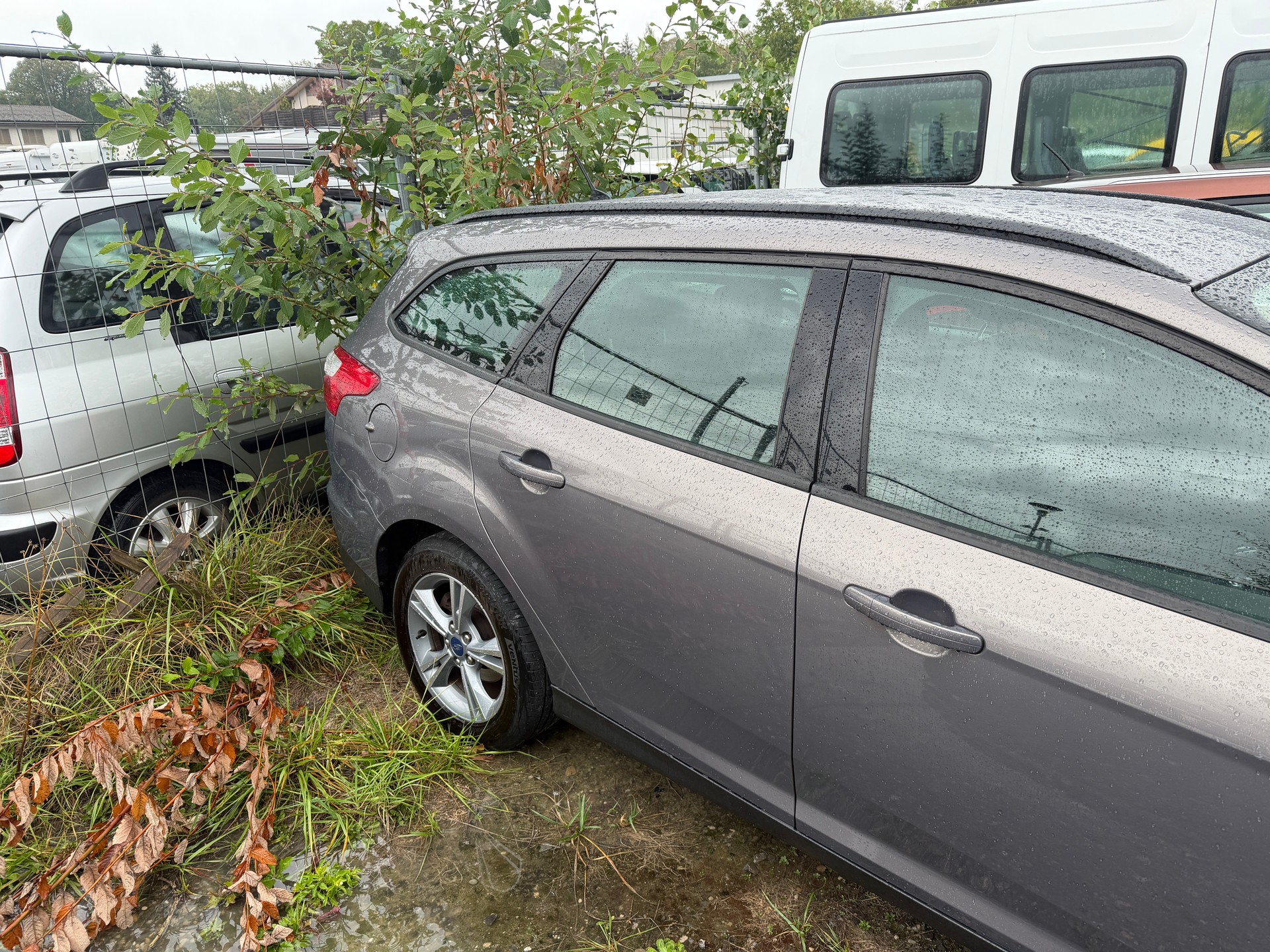 FORD Focus 1.0 SCTi Carving-image-2