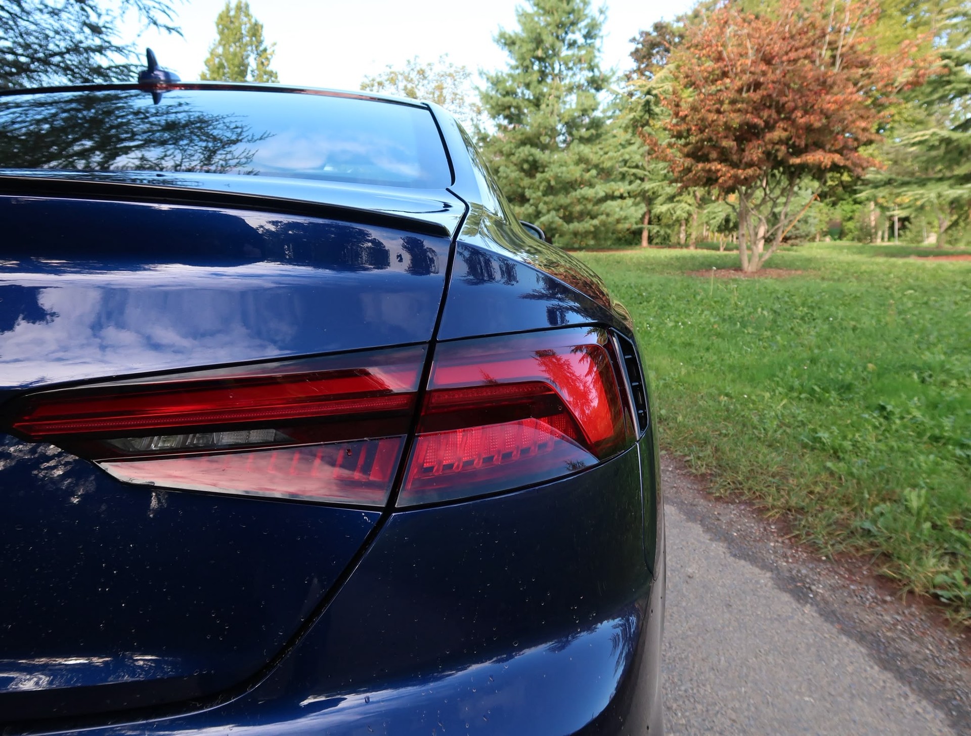 AUDI RS5 Coupé 2.9 TFSI quattro tiptronic-image-9