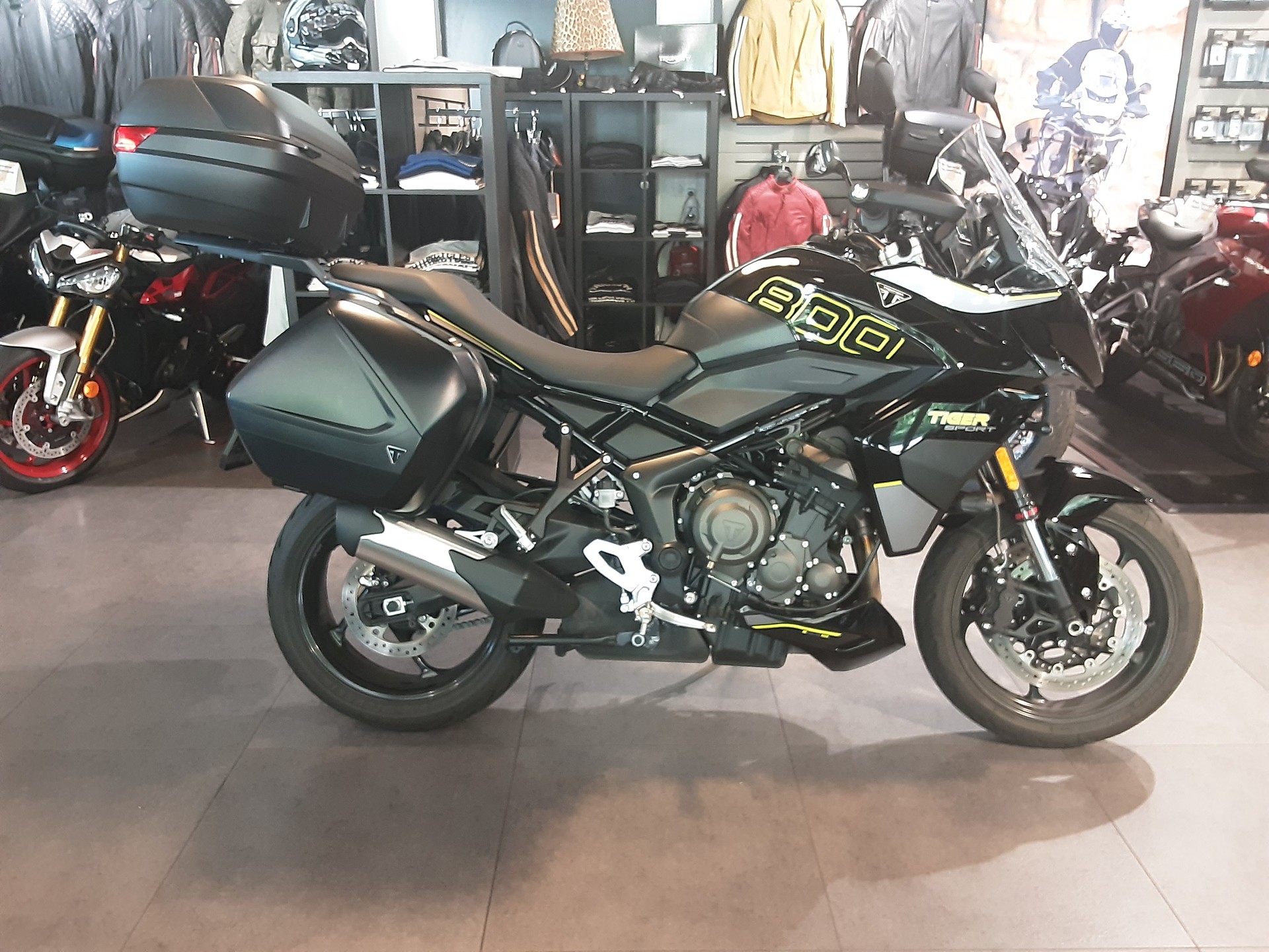 TRIUMPH Tiger Sport 800