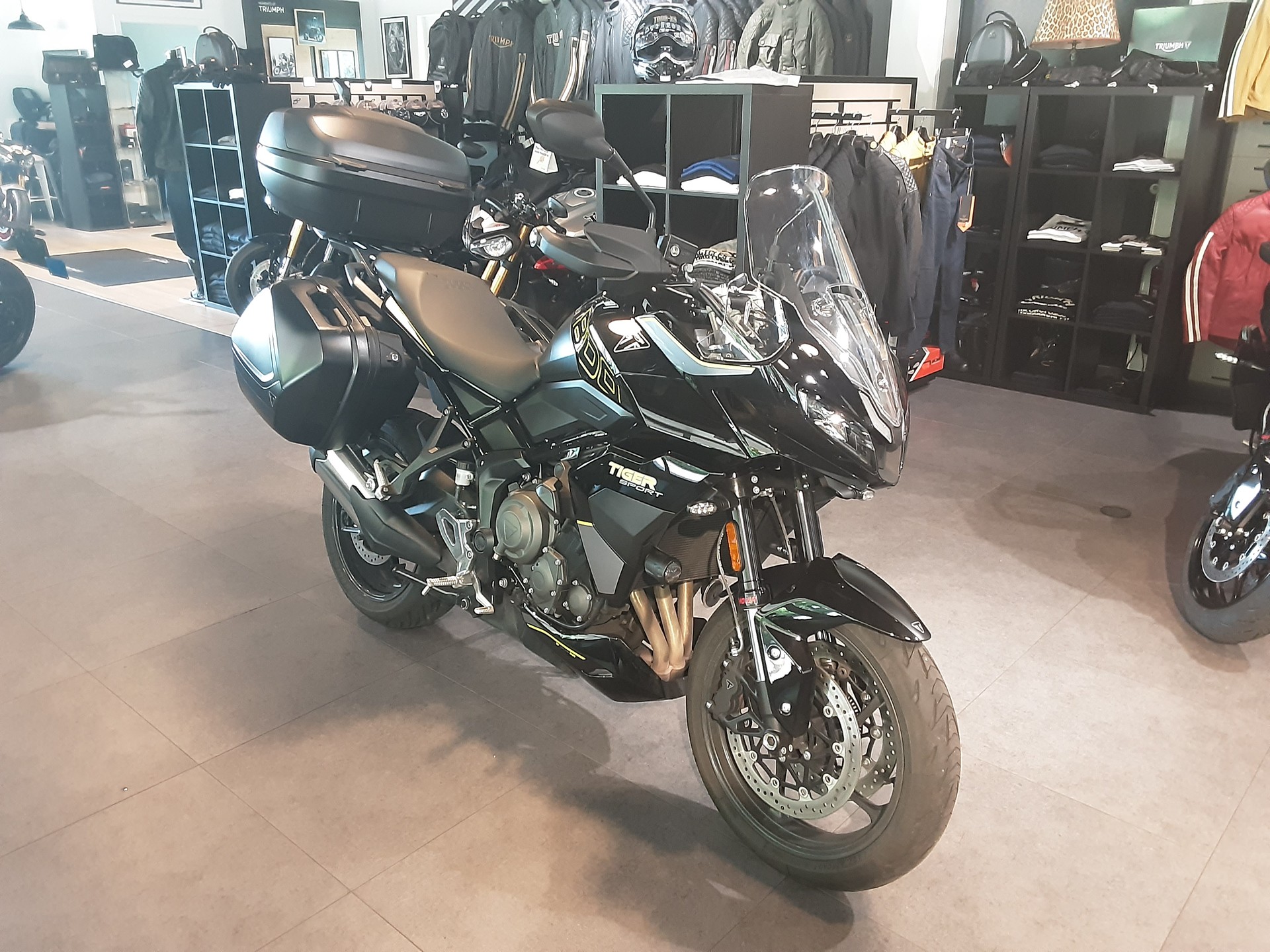 TRIUMPH Tiger Sport 800-image-2
