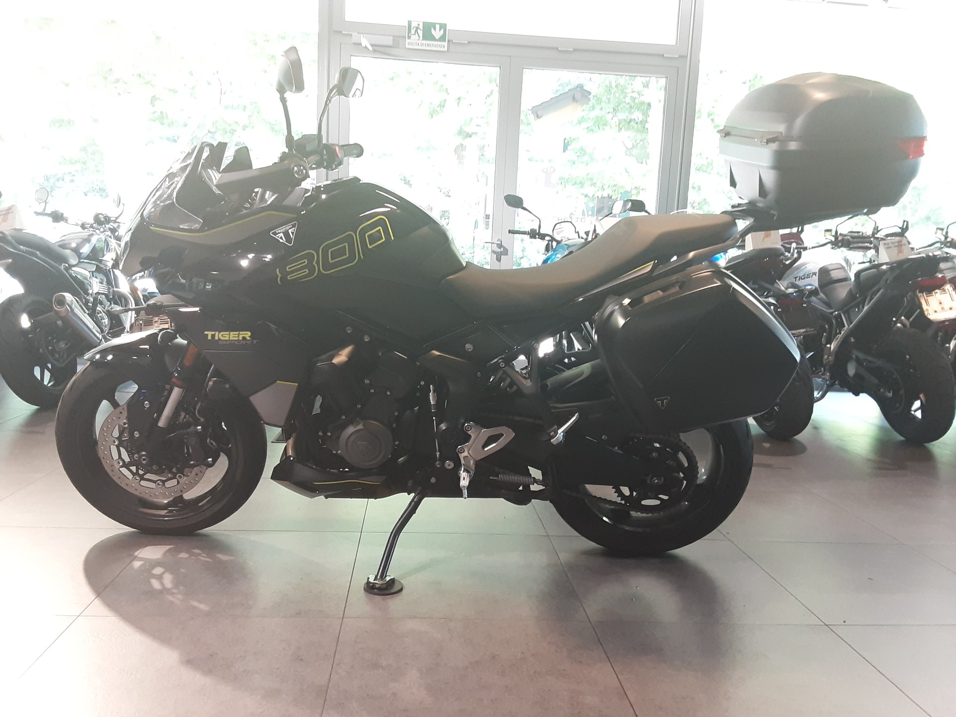 TRIUMPH Tiger Sport 800-image-1