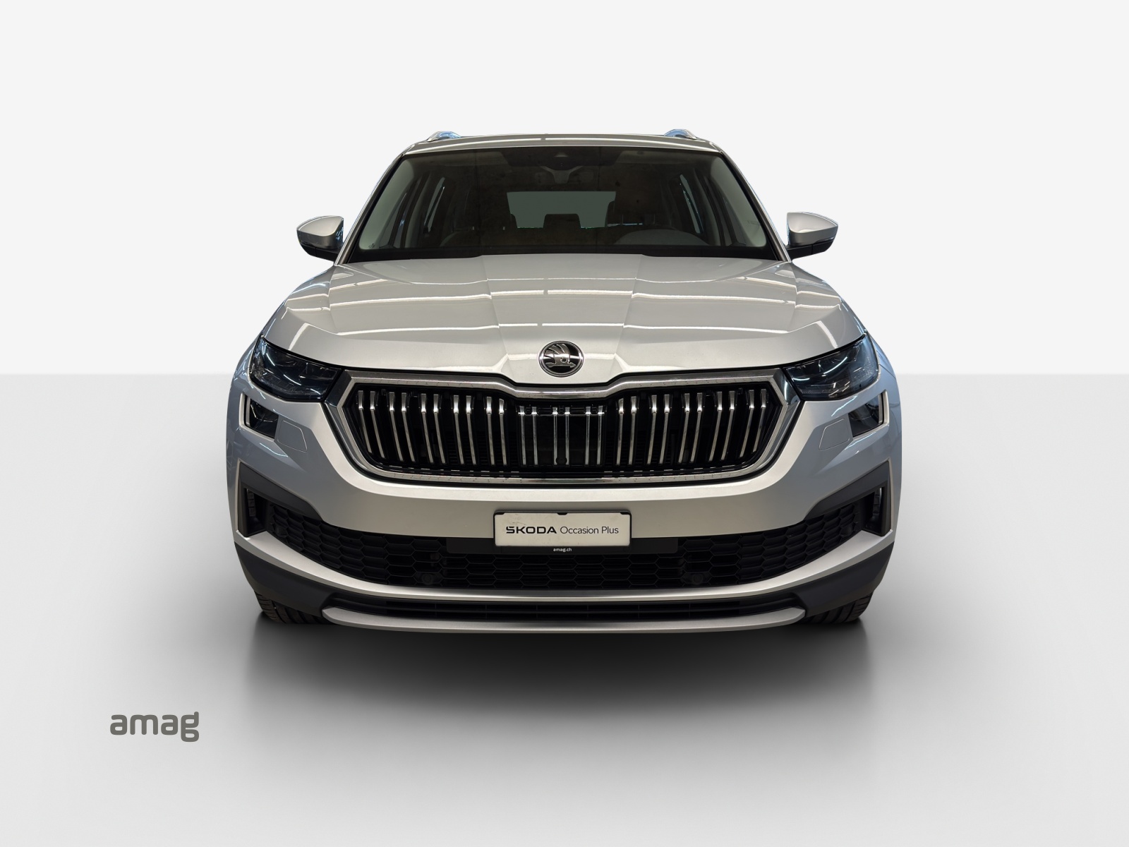 SKODA Kodiaq 2.0 TDI CR Style 4x4 DSG-image-6