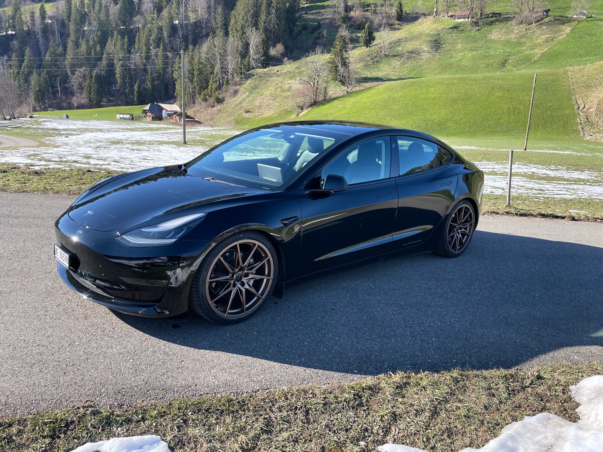 TESLA Model 3 Long Range Dual Motor AWD-image-3