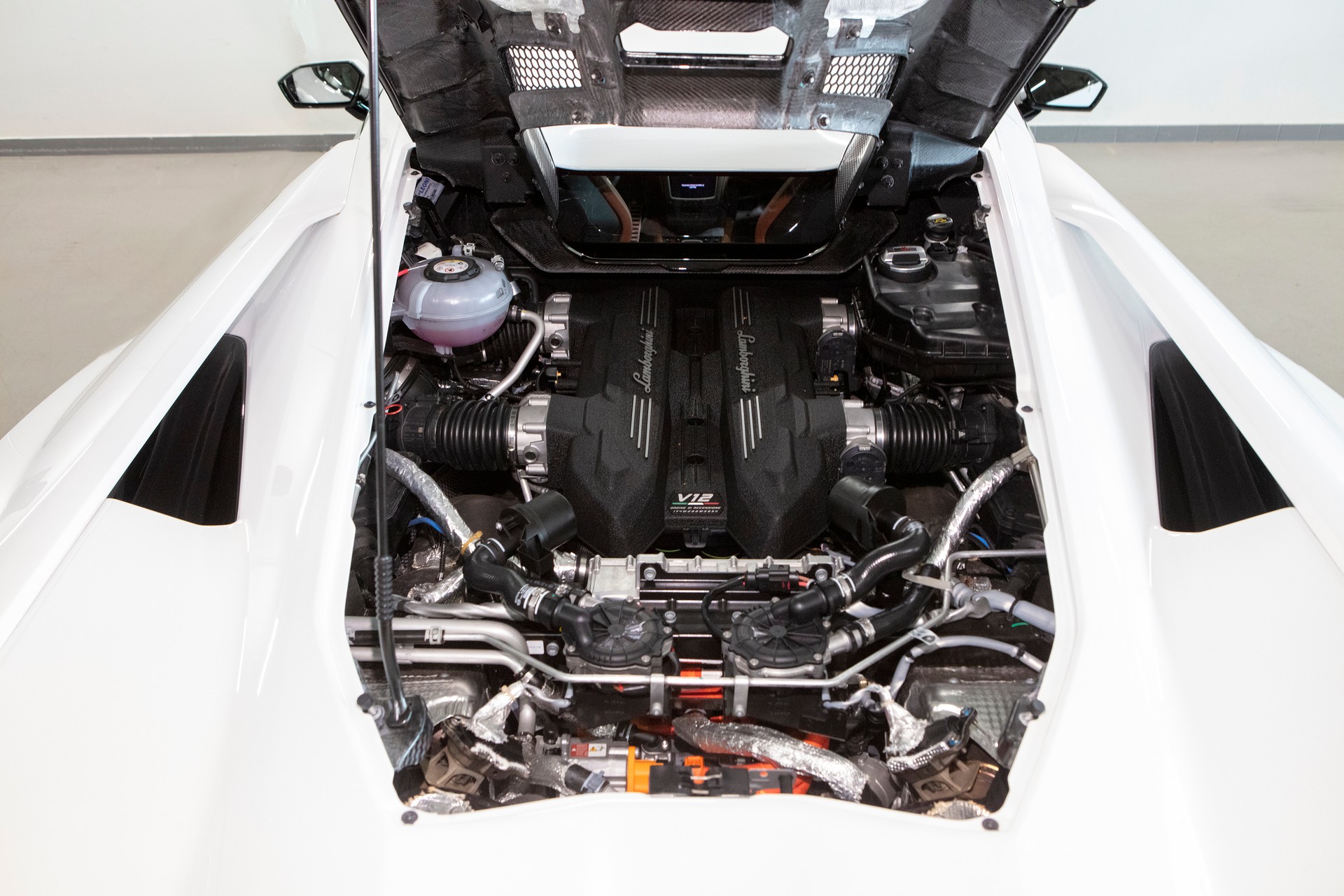 LAMBORGHINI Revuelto HPEV-image-7