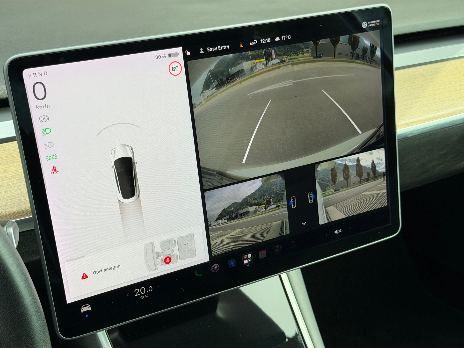 TESLA Model 3 Long Range Dual Motor AWD *Anhängerkupplung* *frisch ab MFK*-image-20