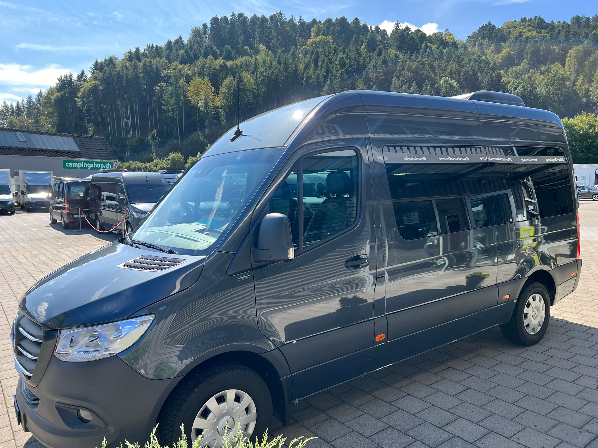 MERCEDES-BENZ (C03) 317 tenoritgrau-image-6