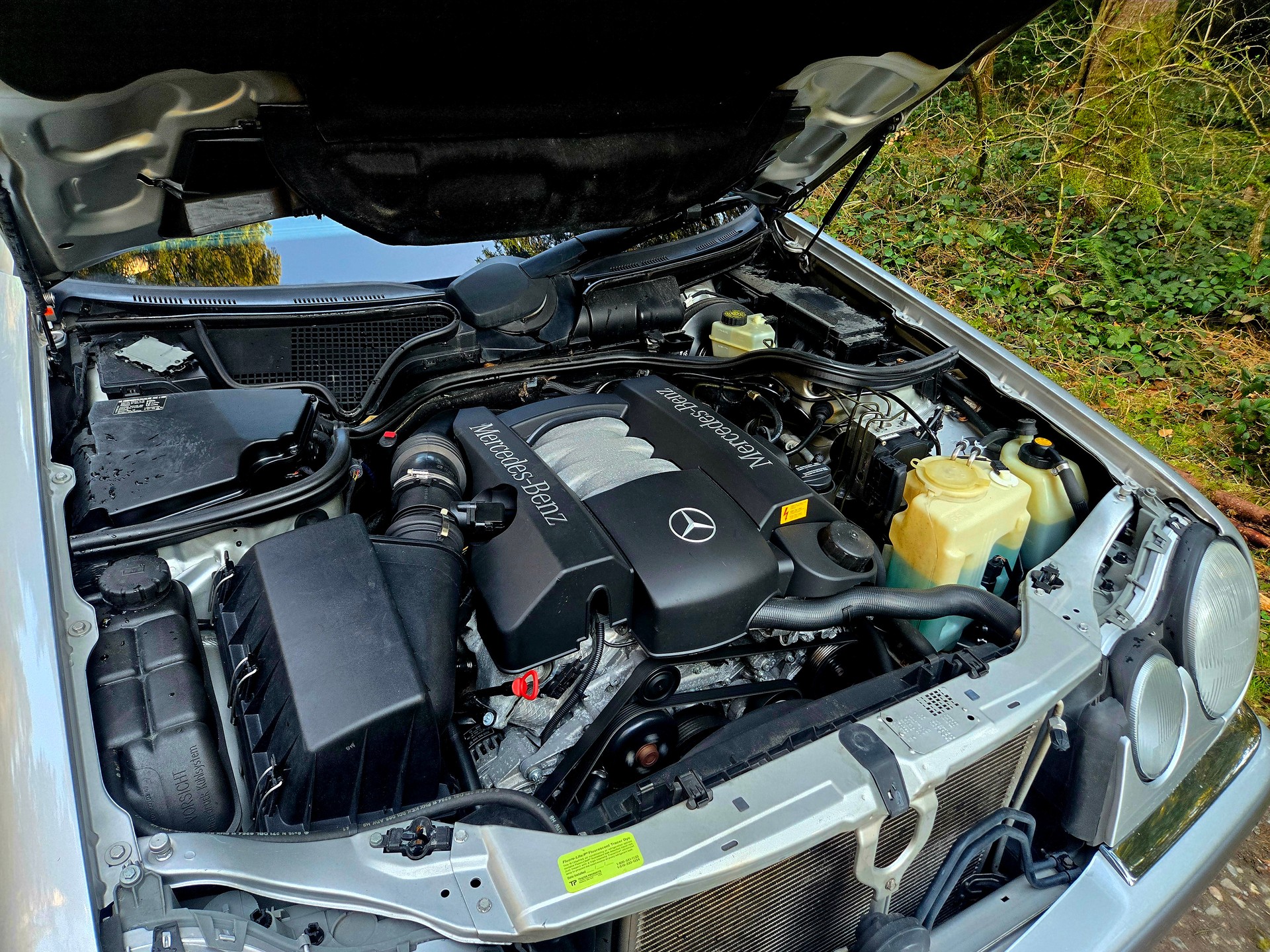 MERCEDES-BENZ E 240 Elégance-image-14