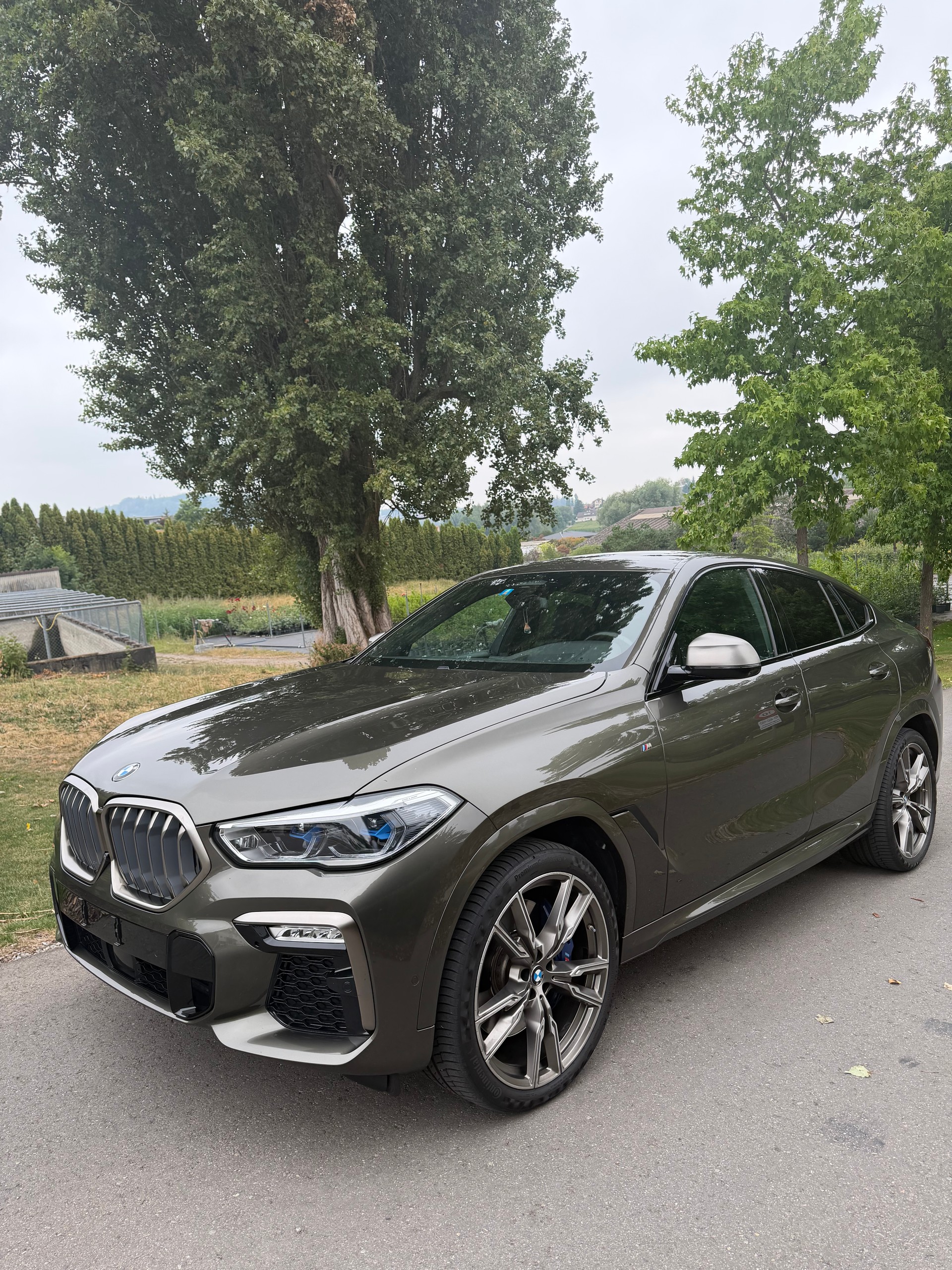 BMW X6 M50i-image-17