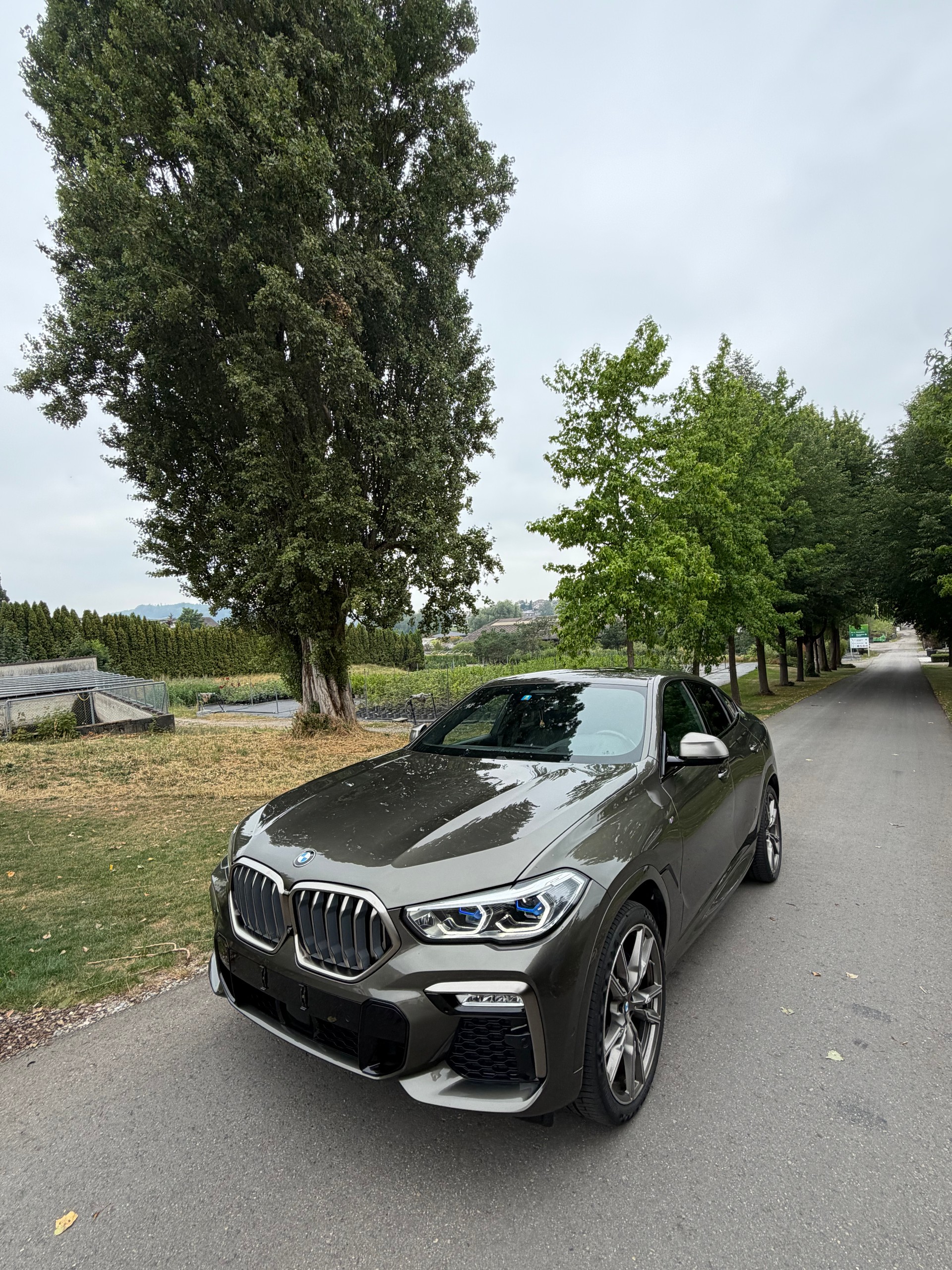 BMW X6 M50i-image-1