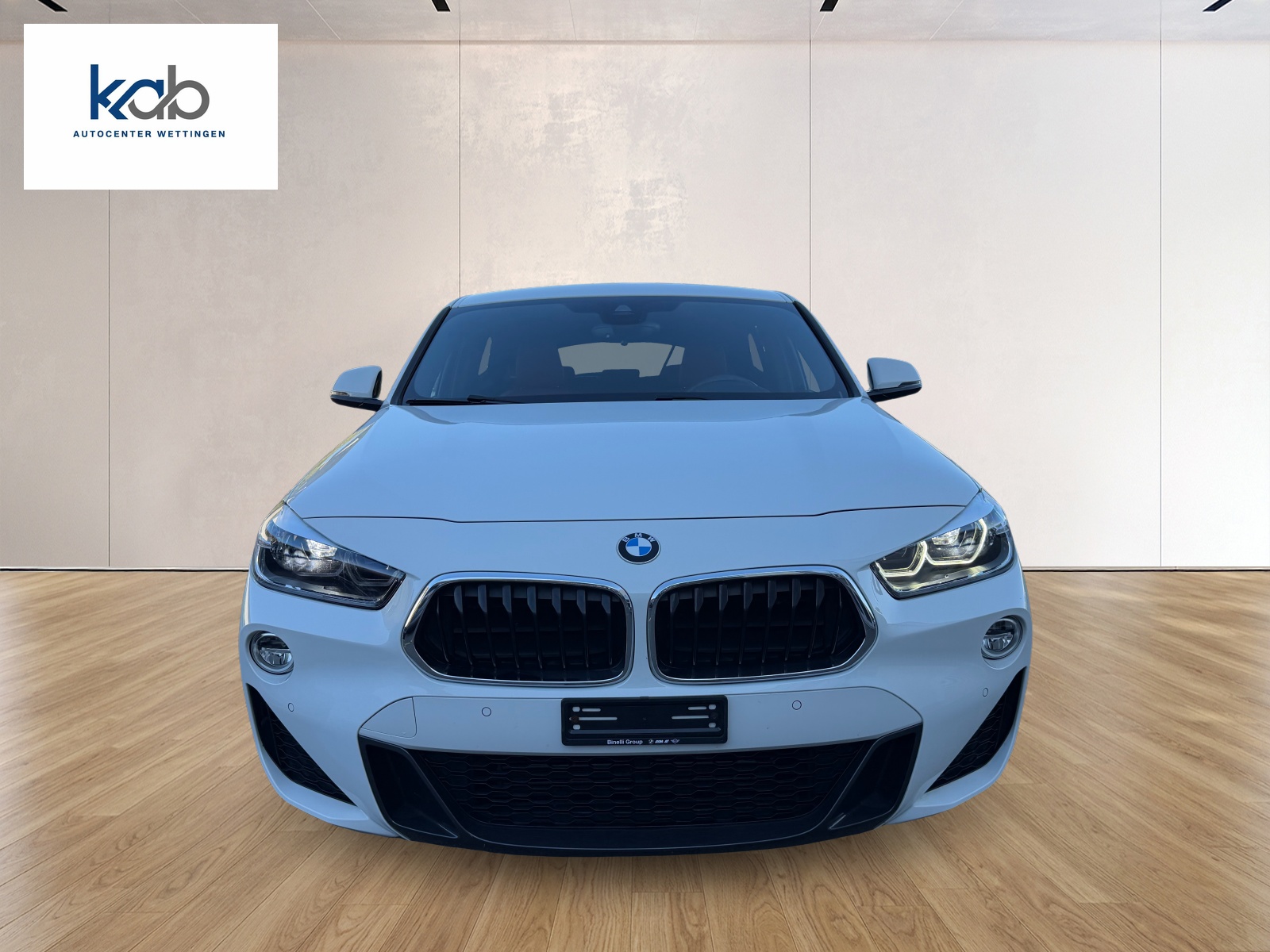 BMW X2 xDrive 20d M Sport Steptronic-showroom-element-1