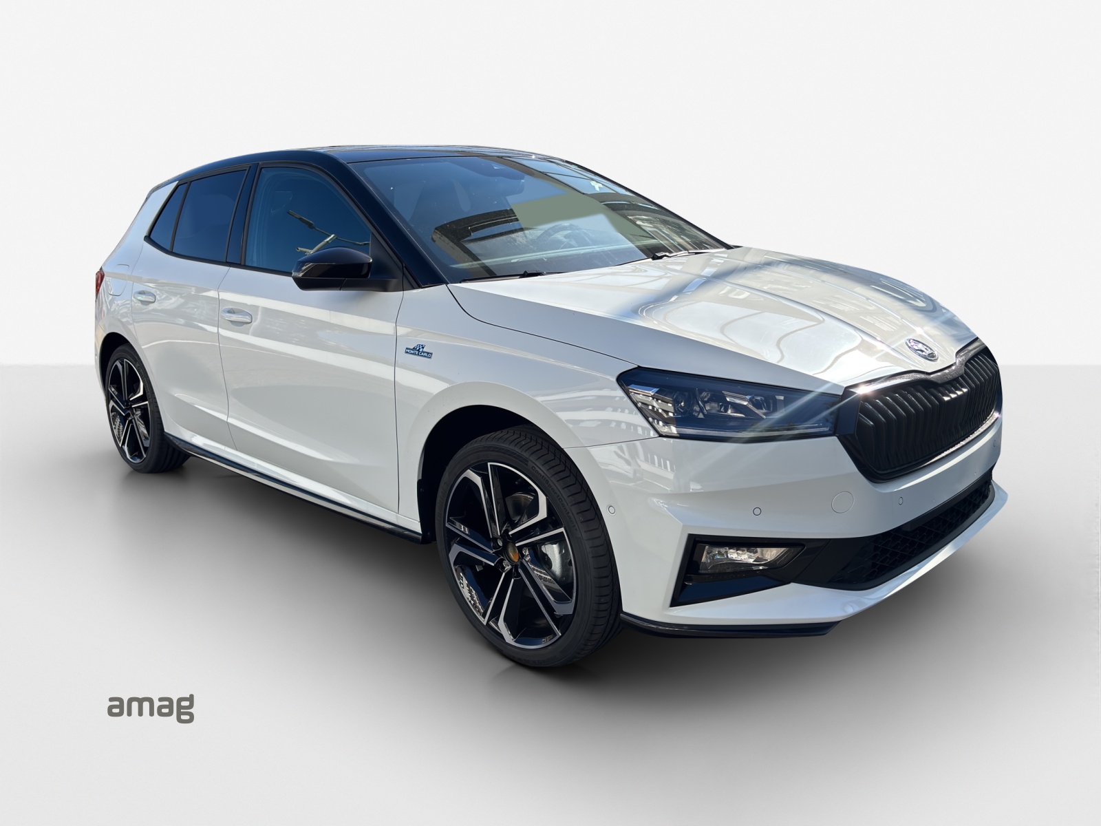 SKODA Fabia 1.0 TSI Monte Carlo DSG-image-5
