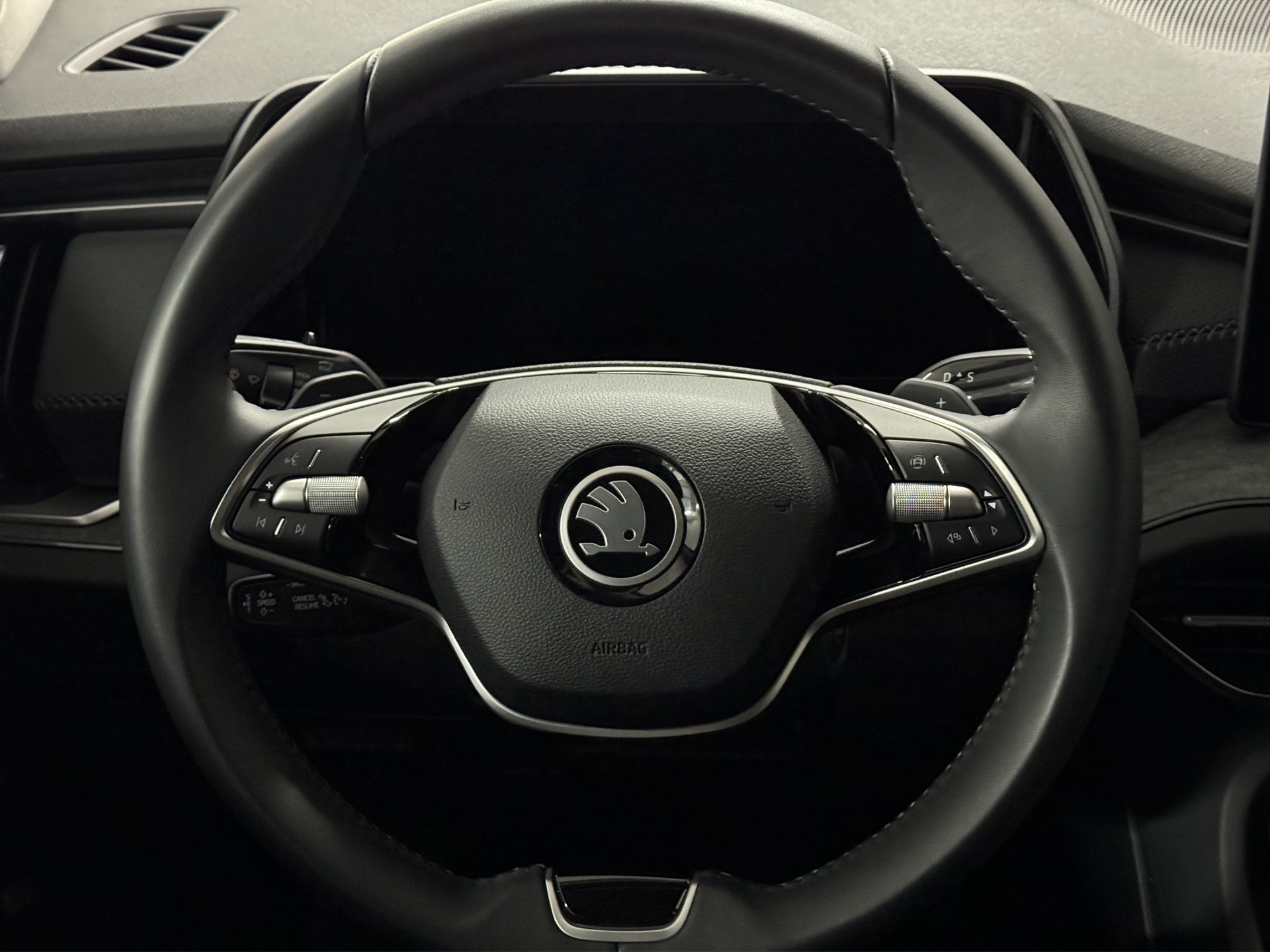 SKODA Kodiaq 1.5 TSI mHEV Selection 7-Plätzer "AHK-DCC-Leder-360°Park Assist IPA"-image-13